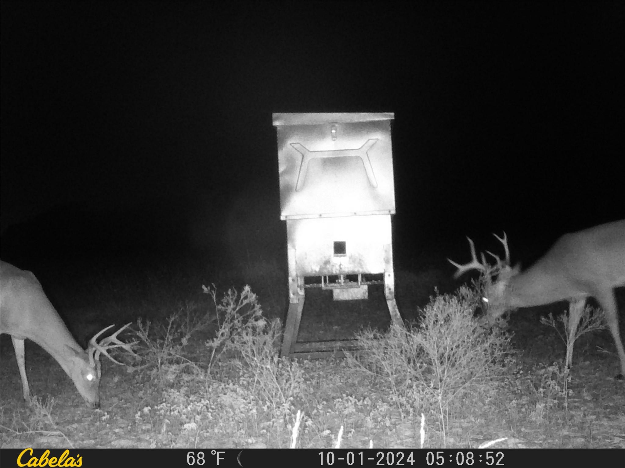 000 C.R,316, Walburg, TX 78626