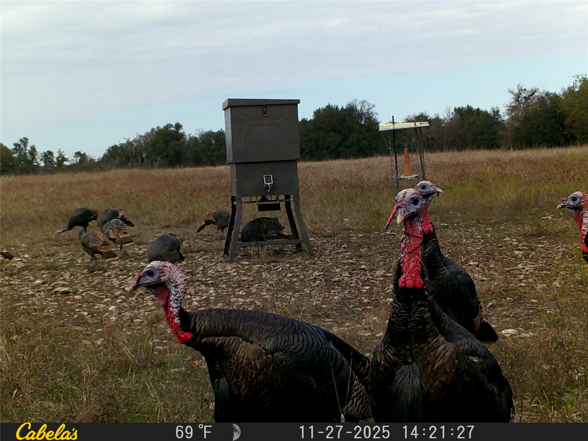 000 C.R,316, Walburg, TX 78626