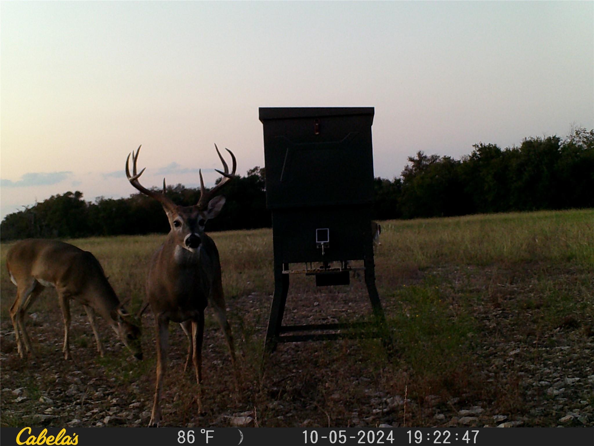 000 C.R,316, Walburg, TX 78626