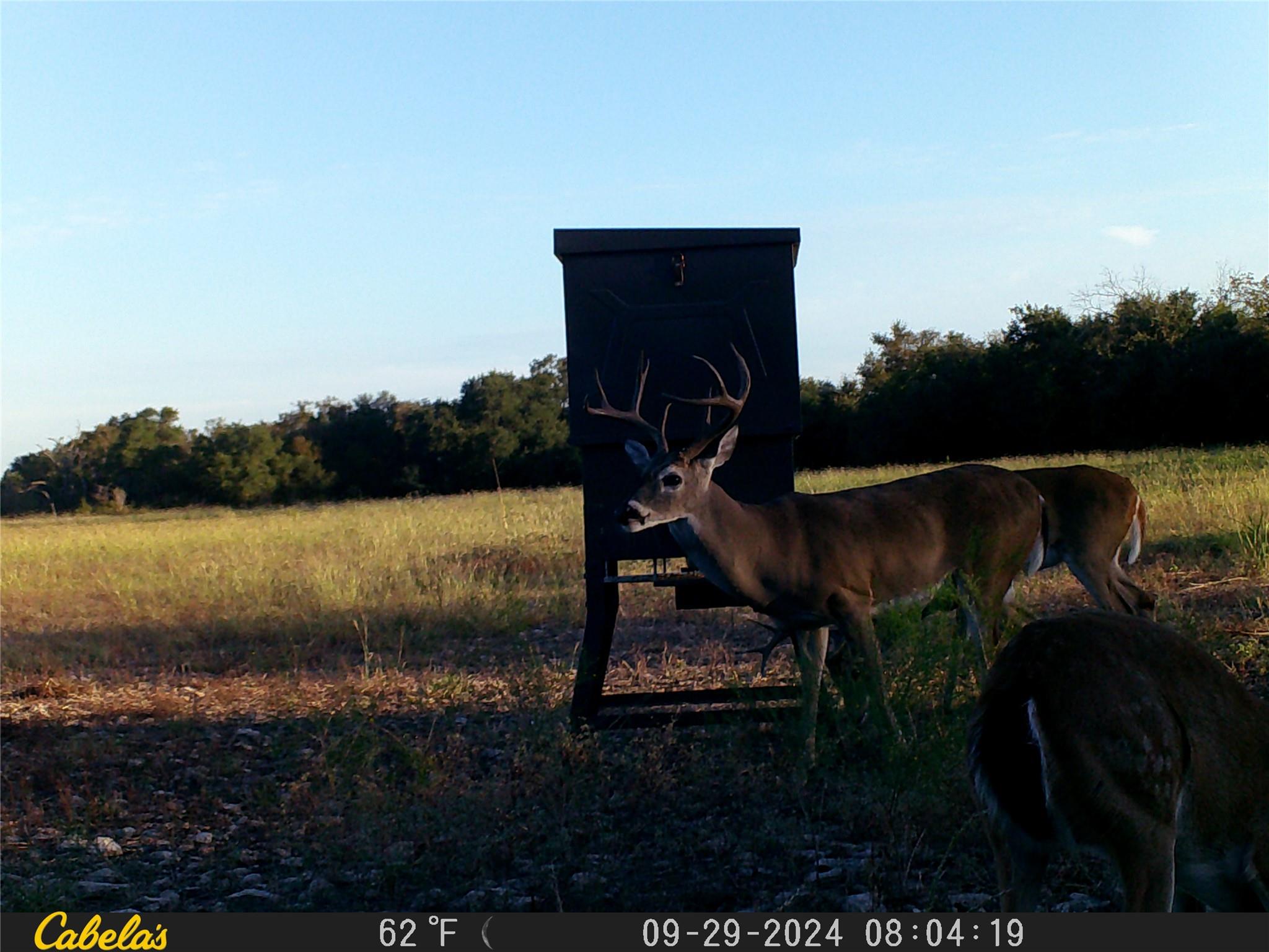 000 C.R,316, Walburg, TX 78626