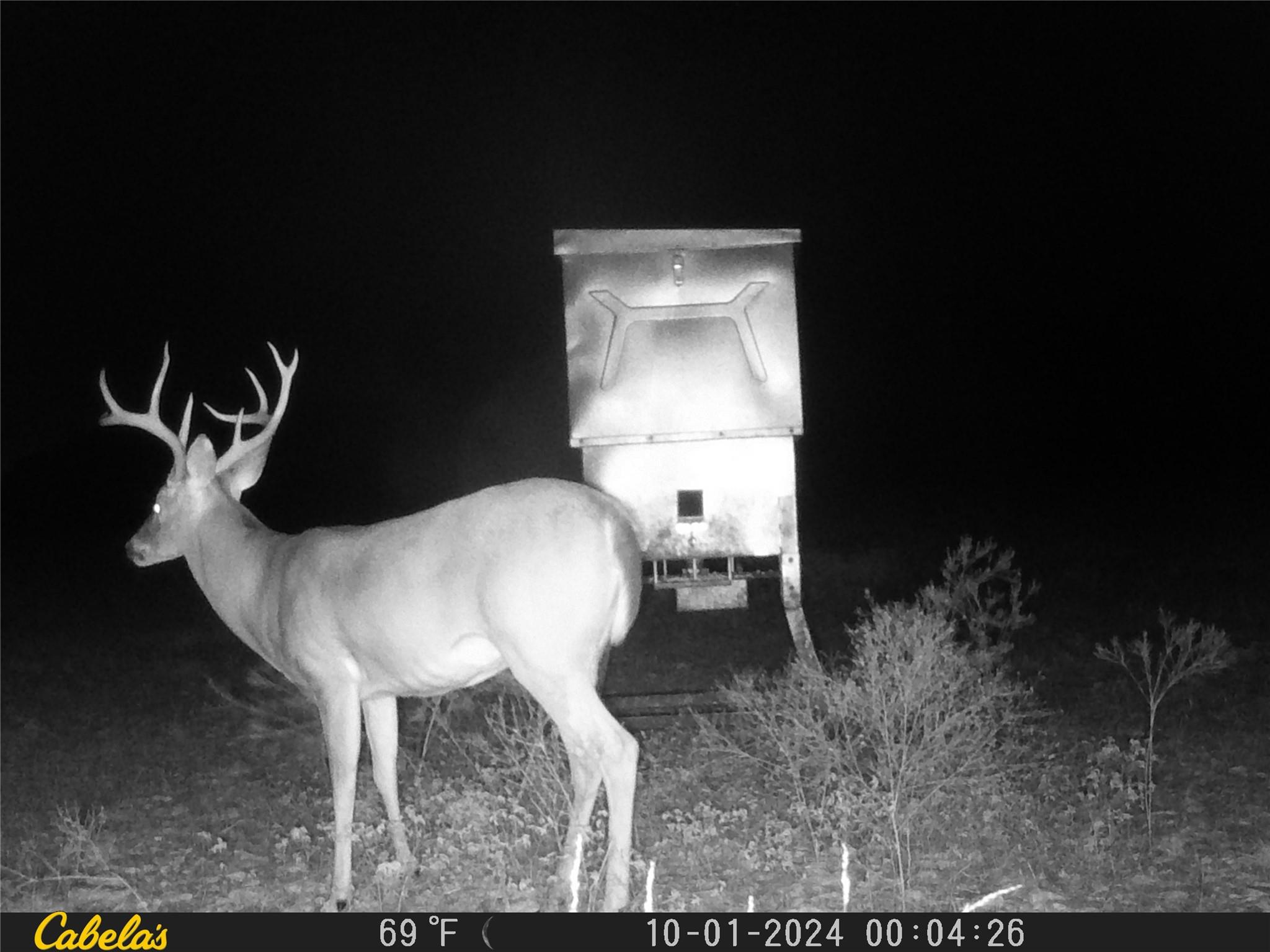 000 C.R,316, Walburg, TX 78626