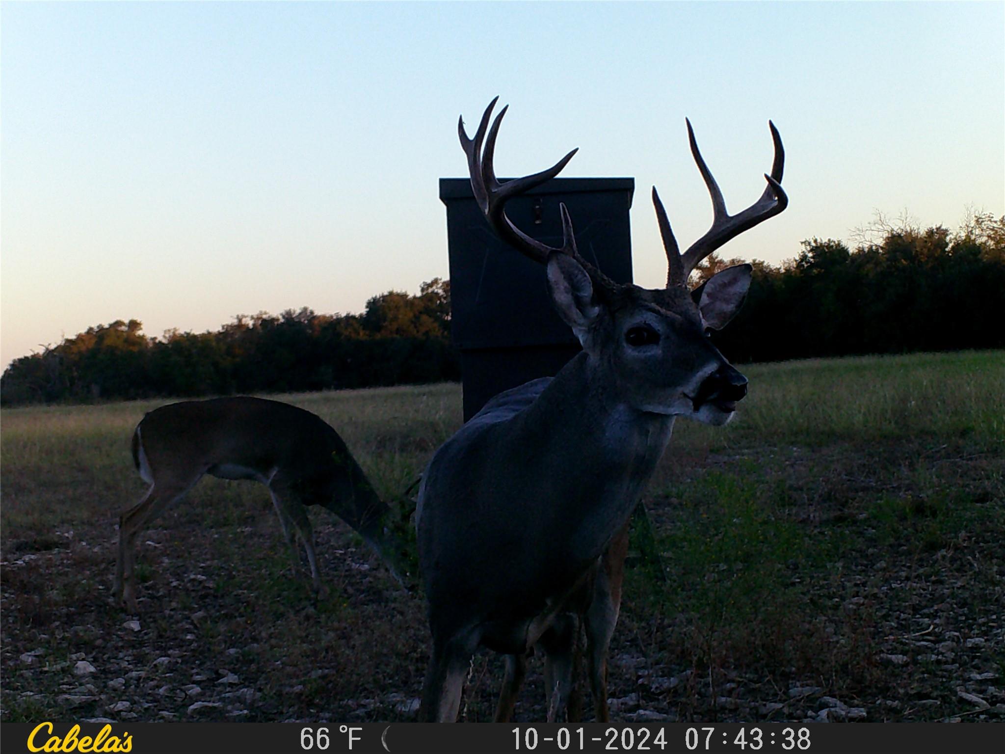 000 C.R,316, Walburg, TX 78626