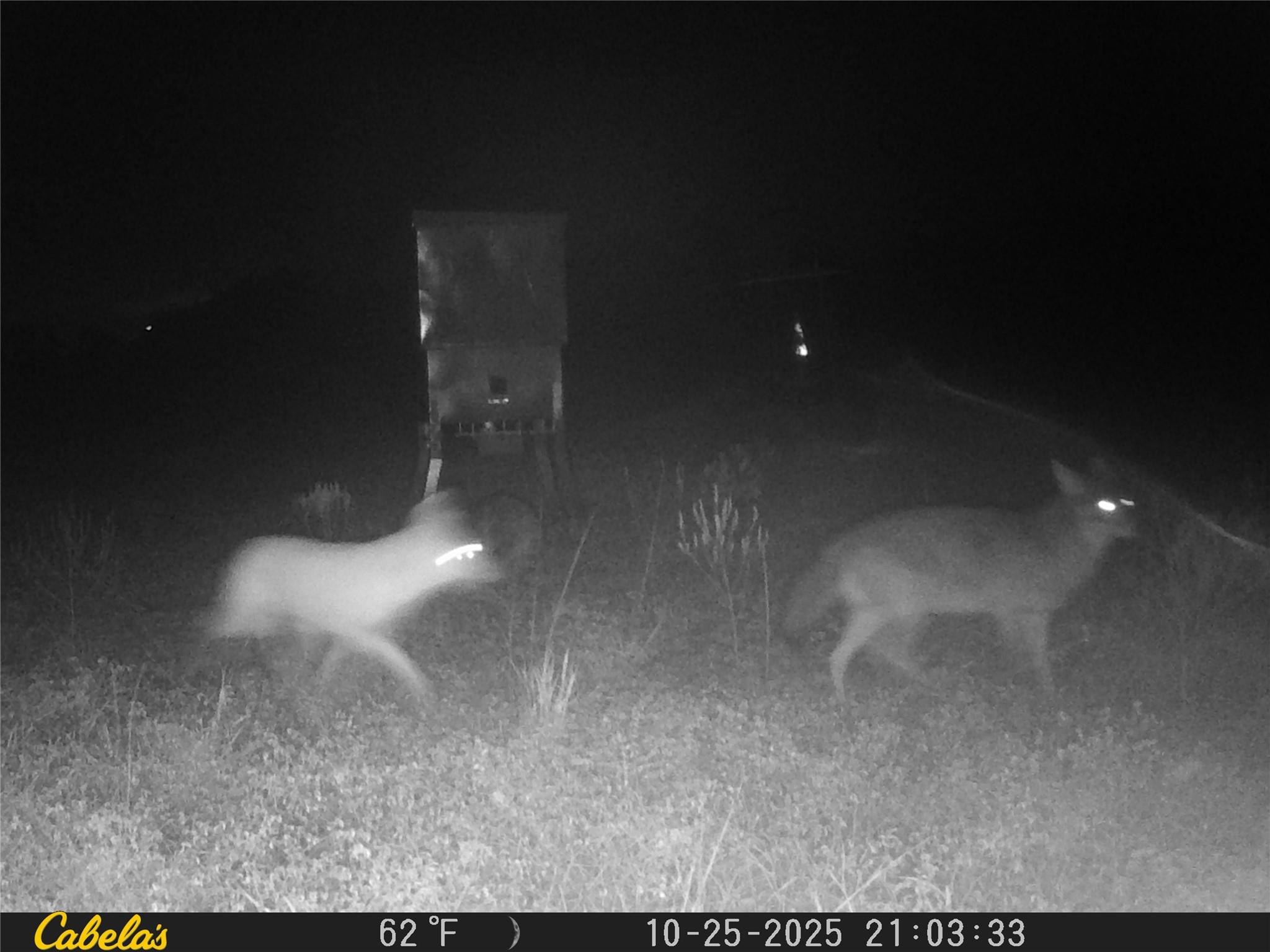 000 C.R,316, Walburg, TX 78626