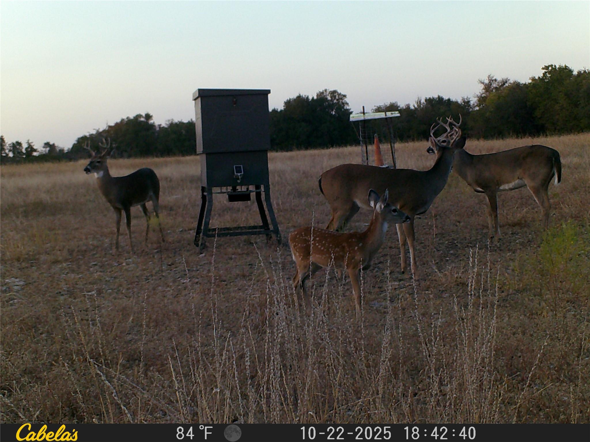 000 C.R,316, Walburg, TX 78626