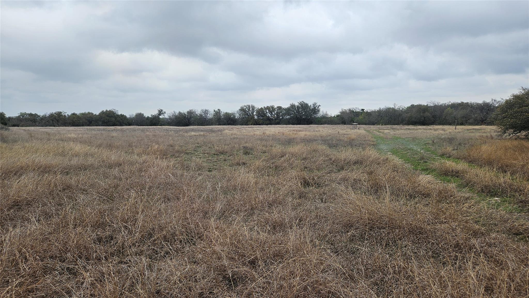 000 C.R,316, Walburg, TX 78626