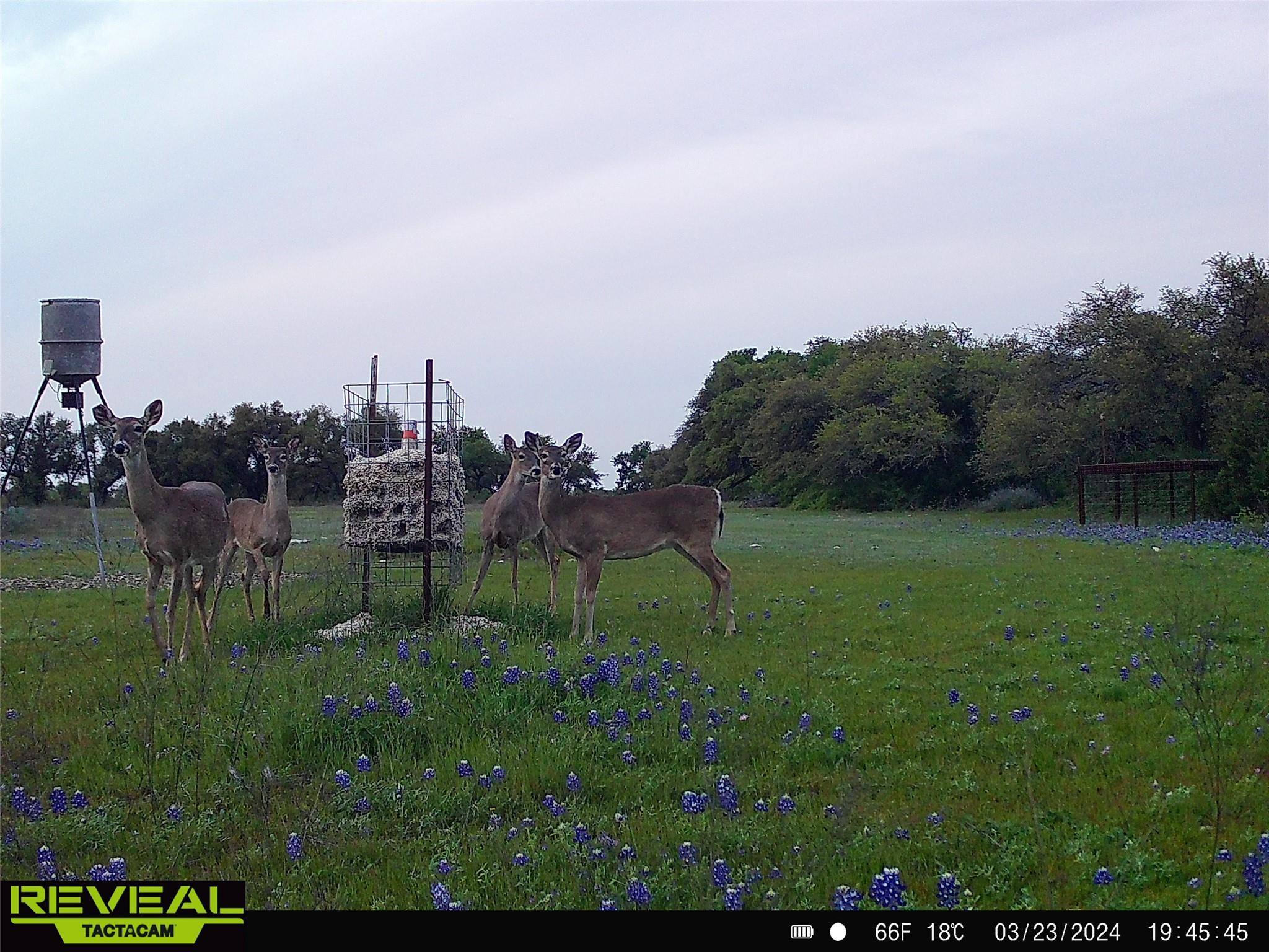 000 C.R,316, Walburg, TX 78626