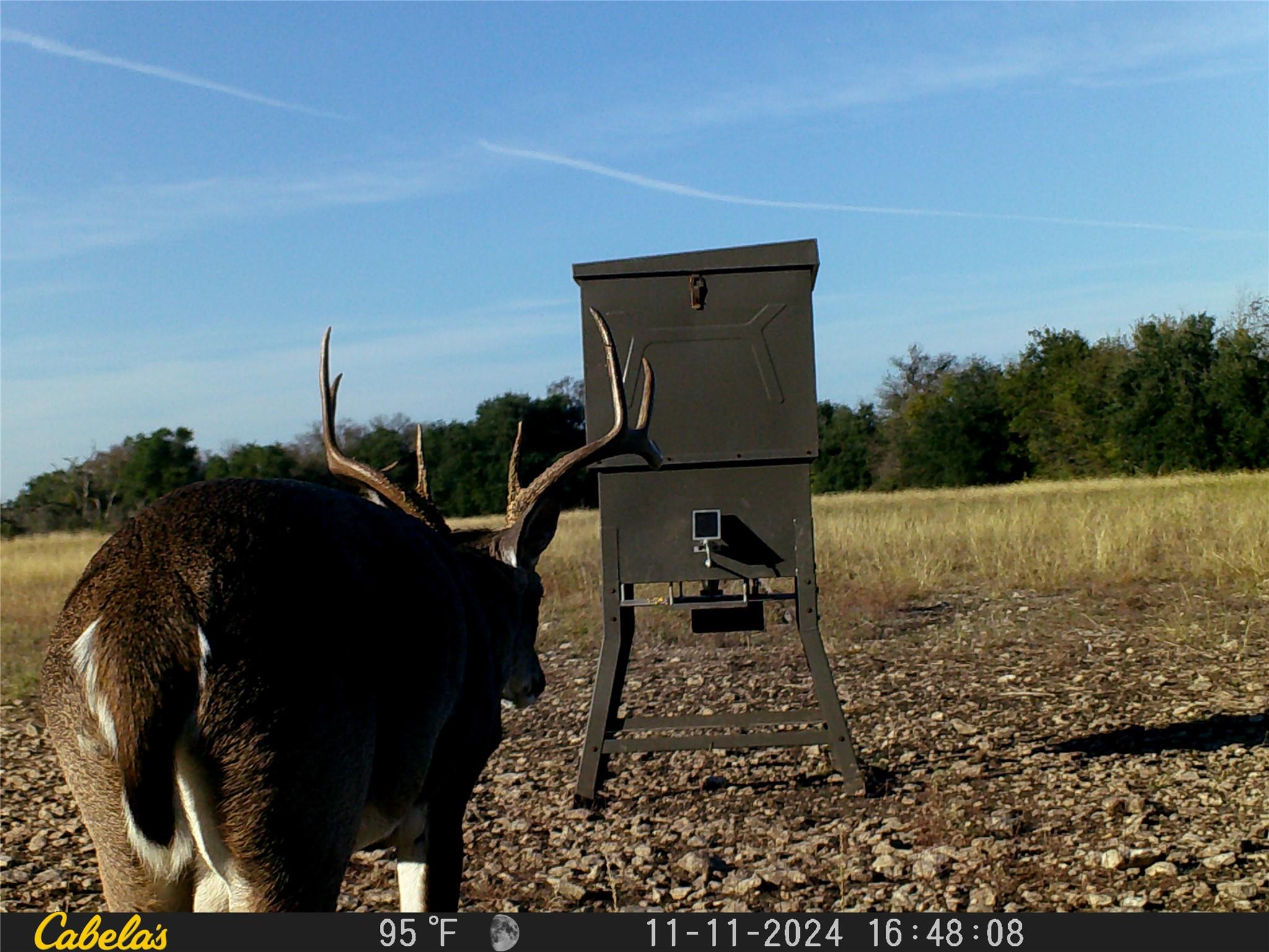 000 C.R,316, Walburg, TX 78626