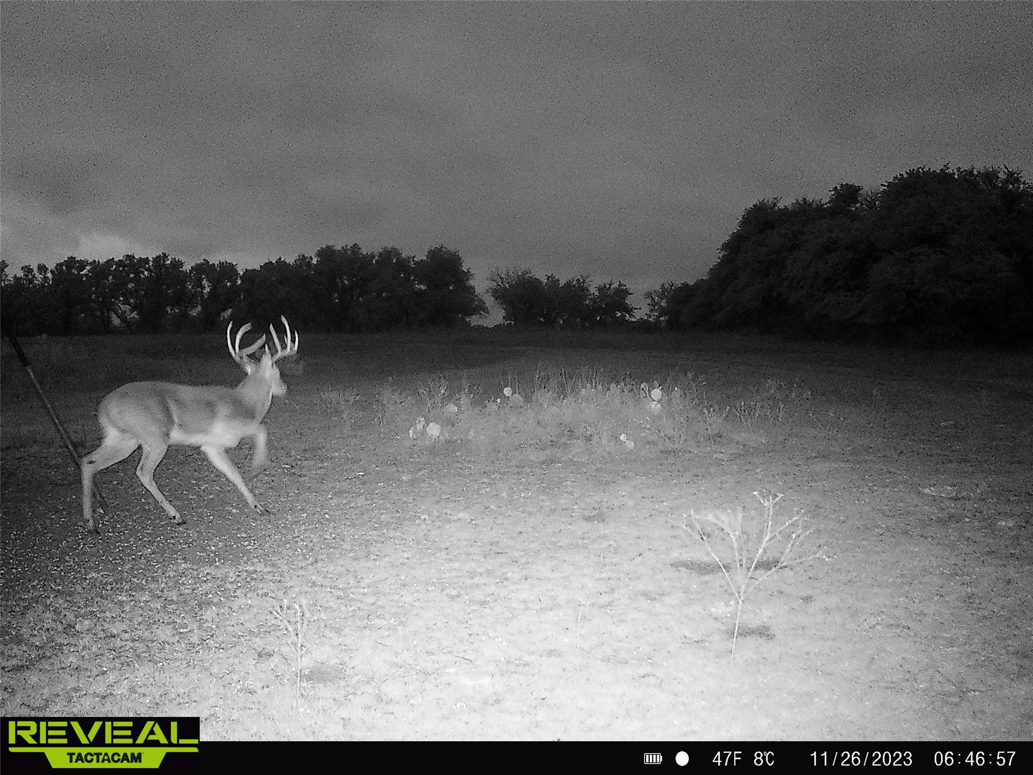 000 C.R,316, Walburg, TX 78626