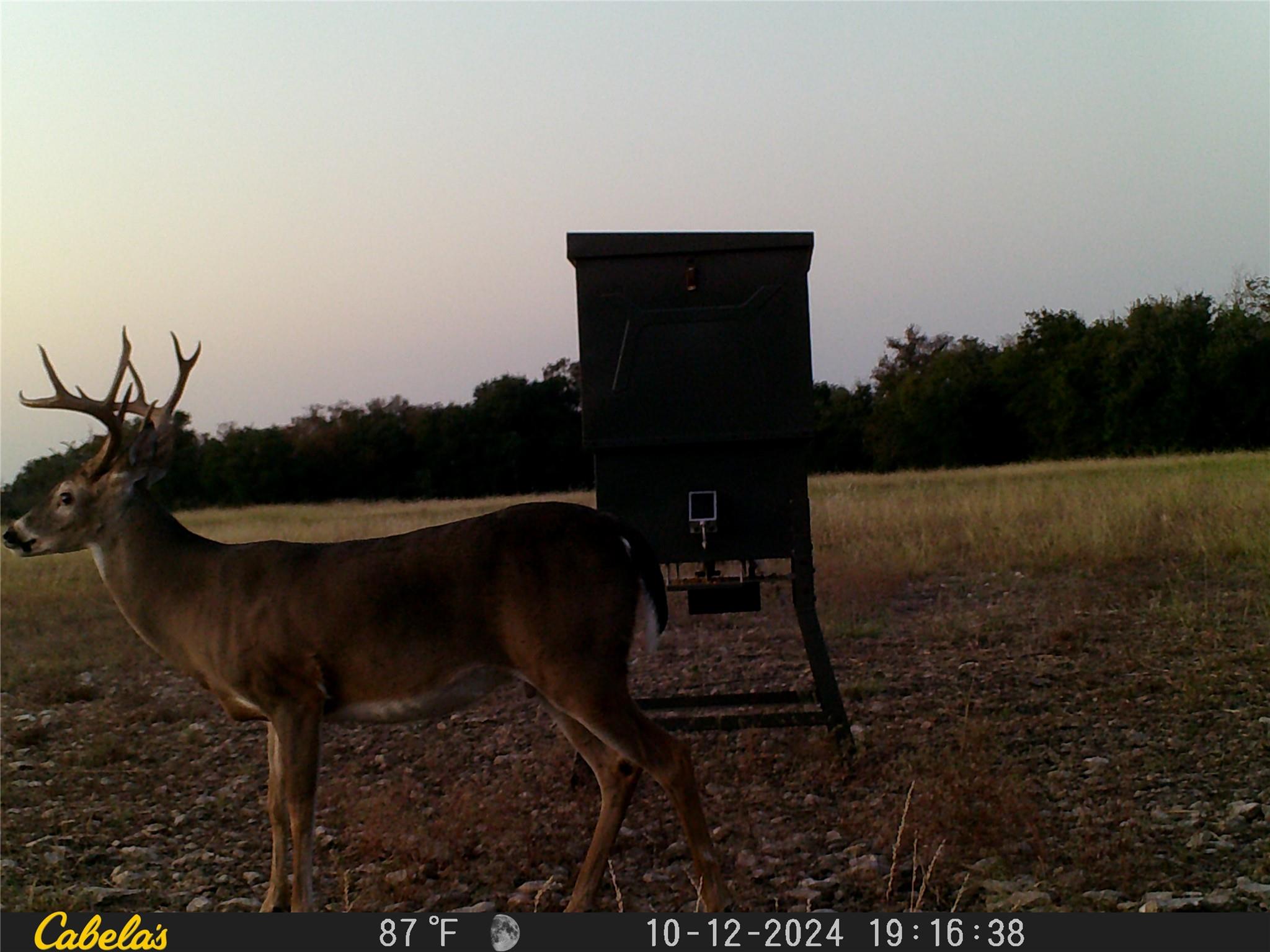 000 C.R,316, Walburg, TX 78626