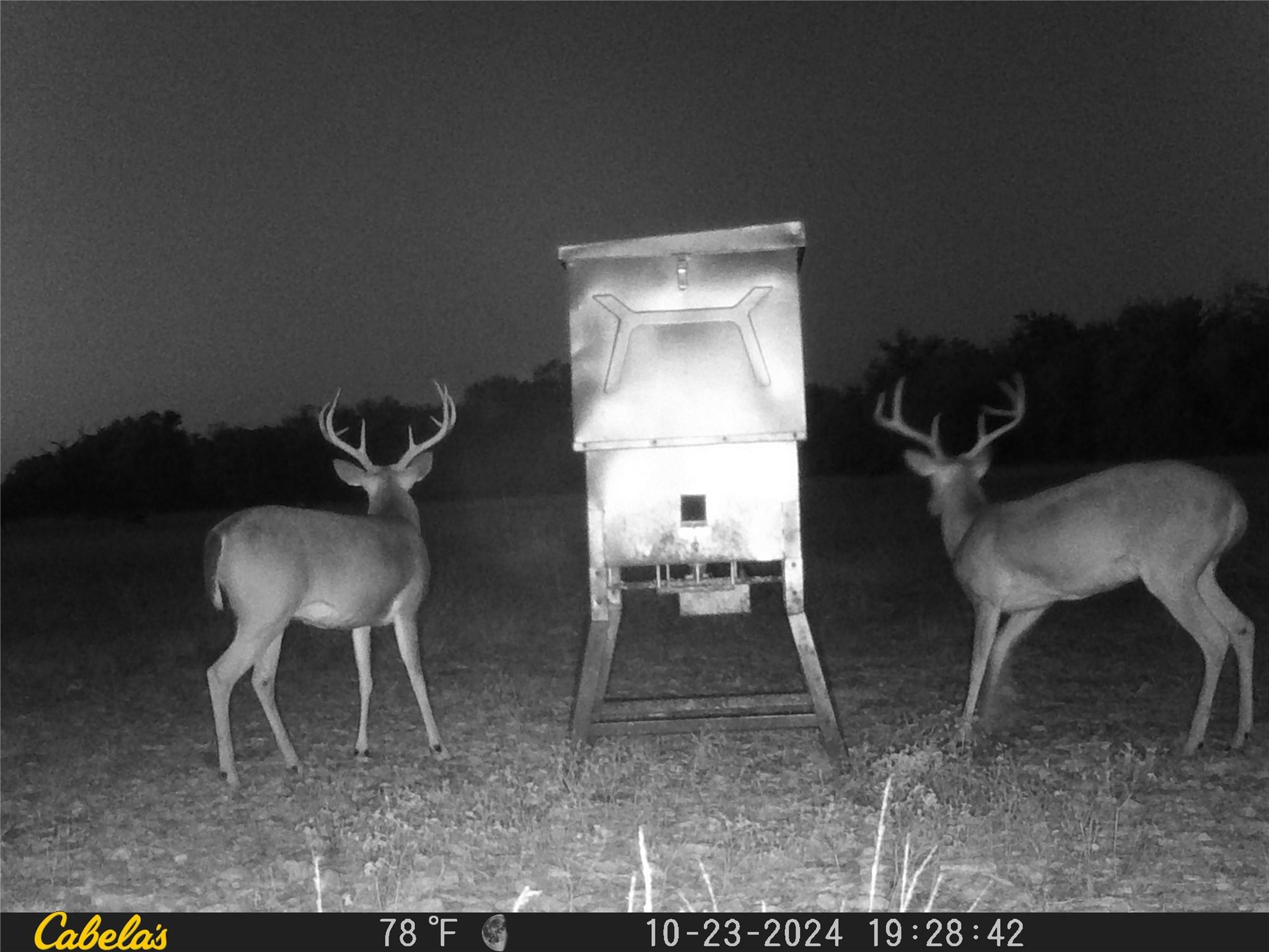 000 C.R,316, Walburg, TX 78626