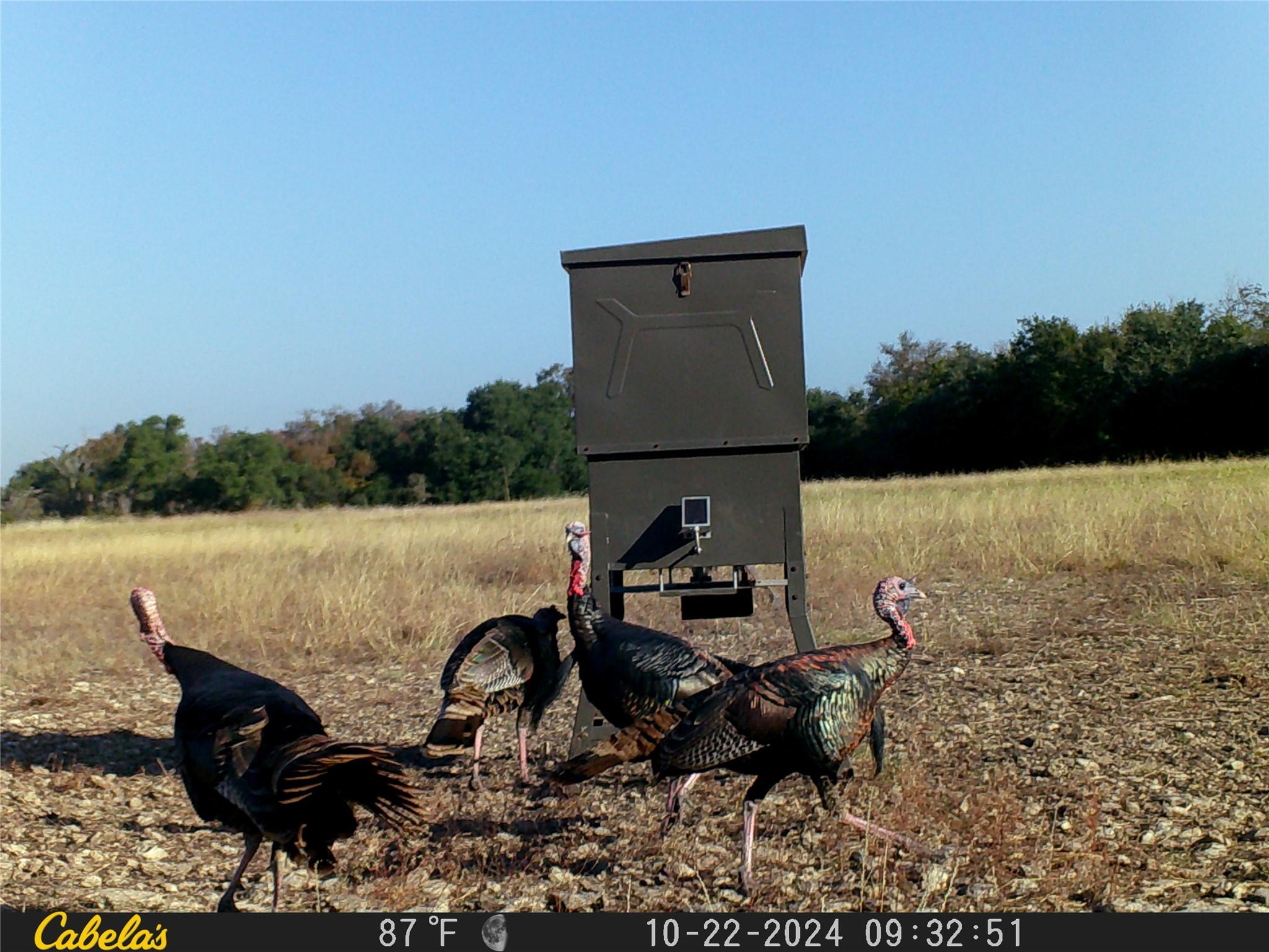 000 C.R,316, Walburg, TX 78626