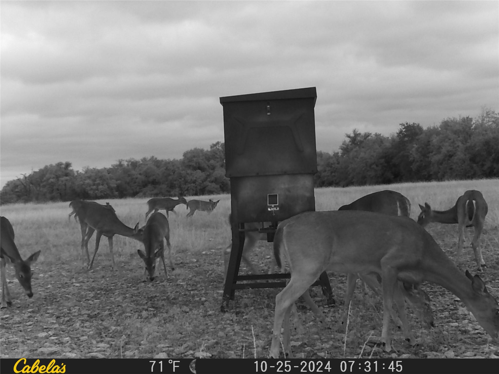 000 C.R,316, Walburg, TX 78626