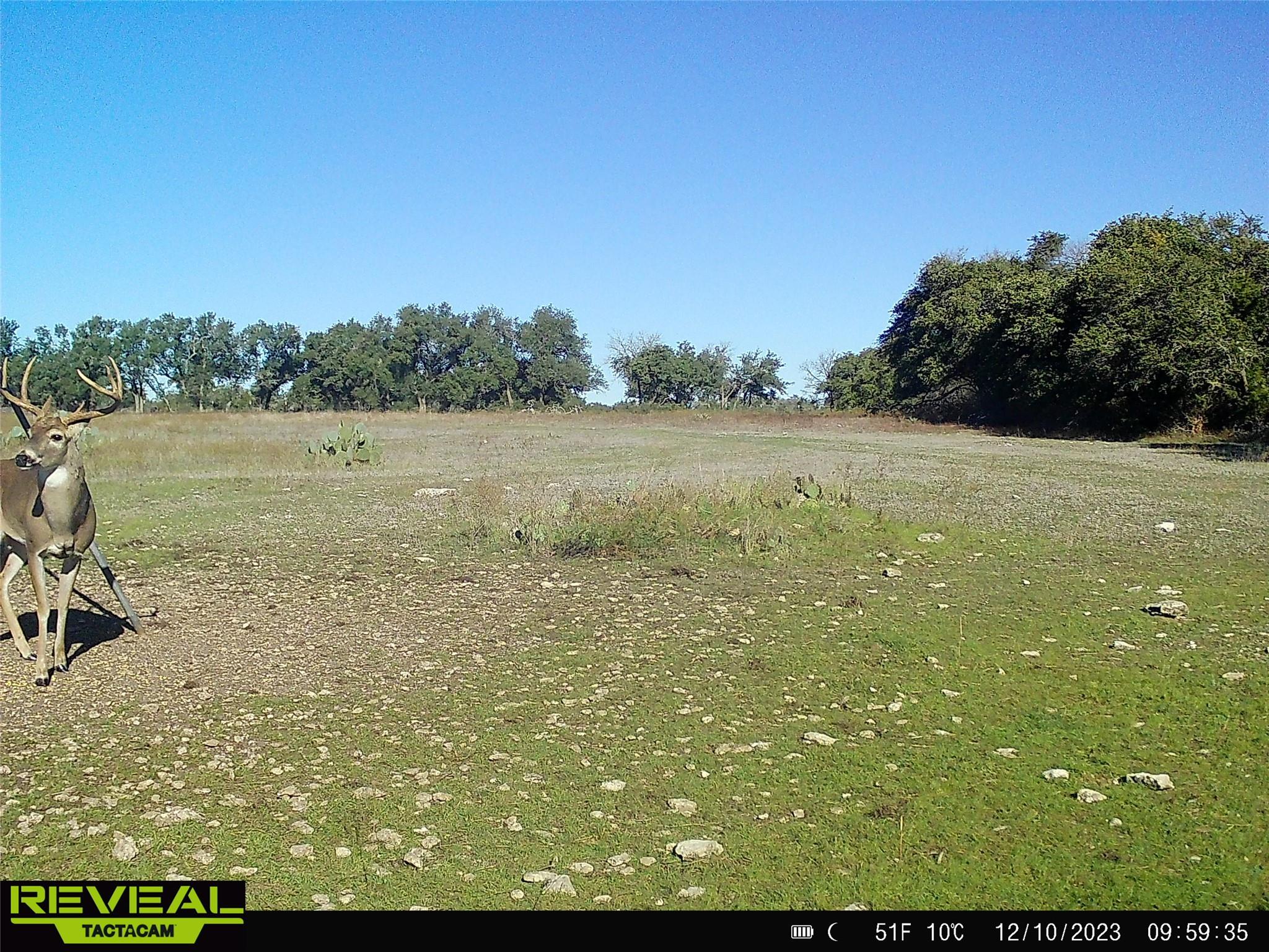 000 C.R,316, Walburg, TX 78626