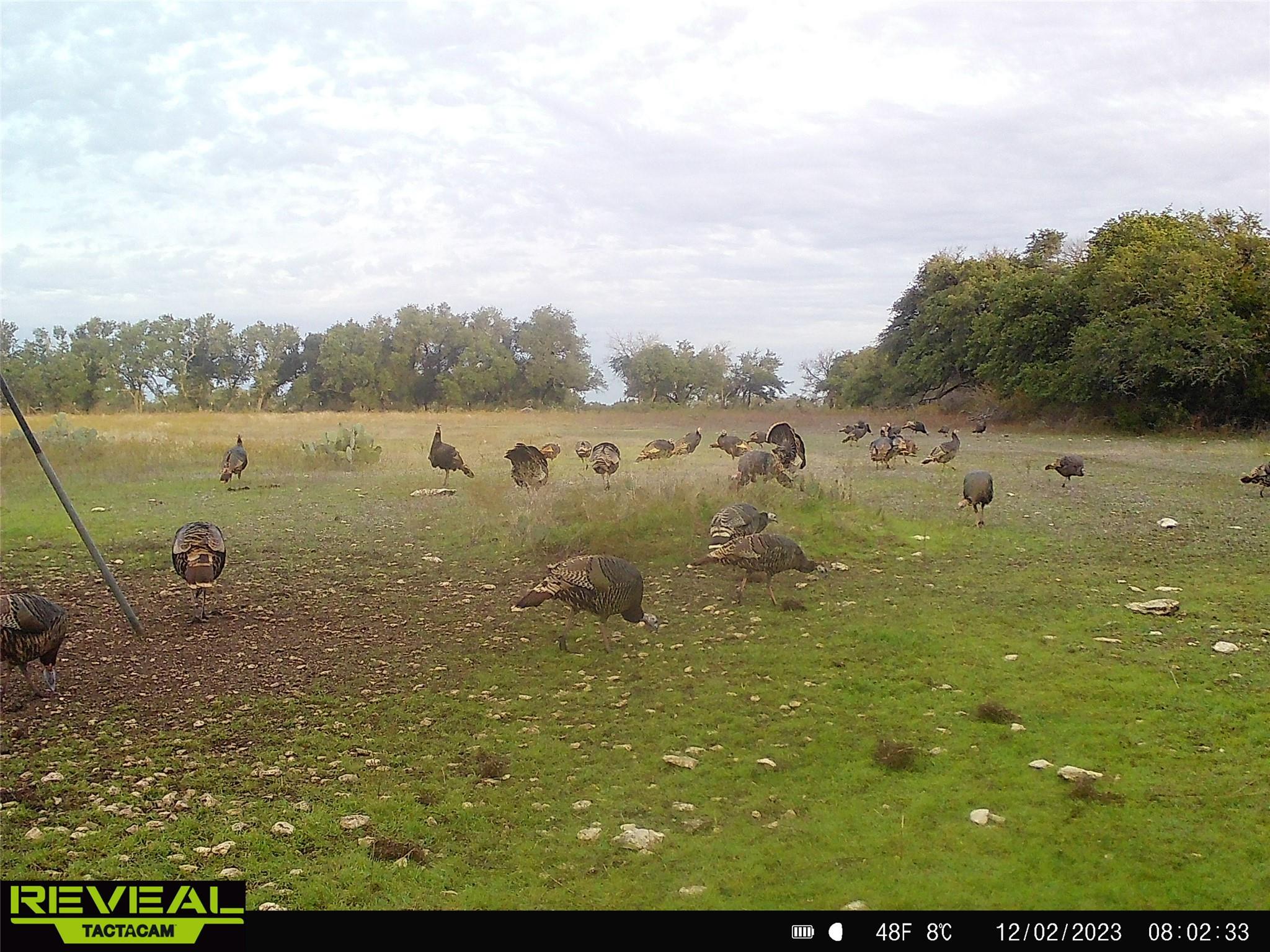 000 C.R,316, Walburg, TX 78626