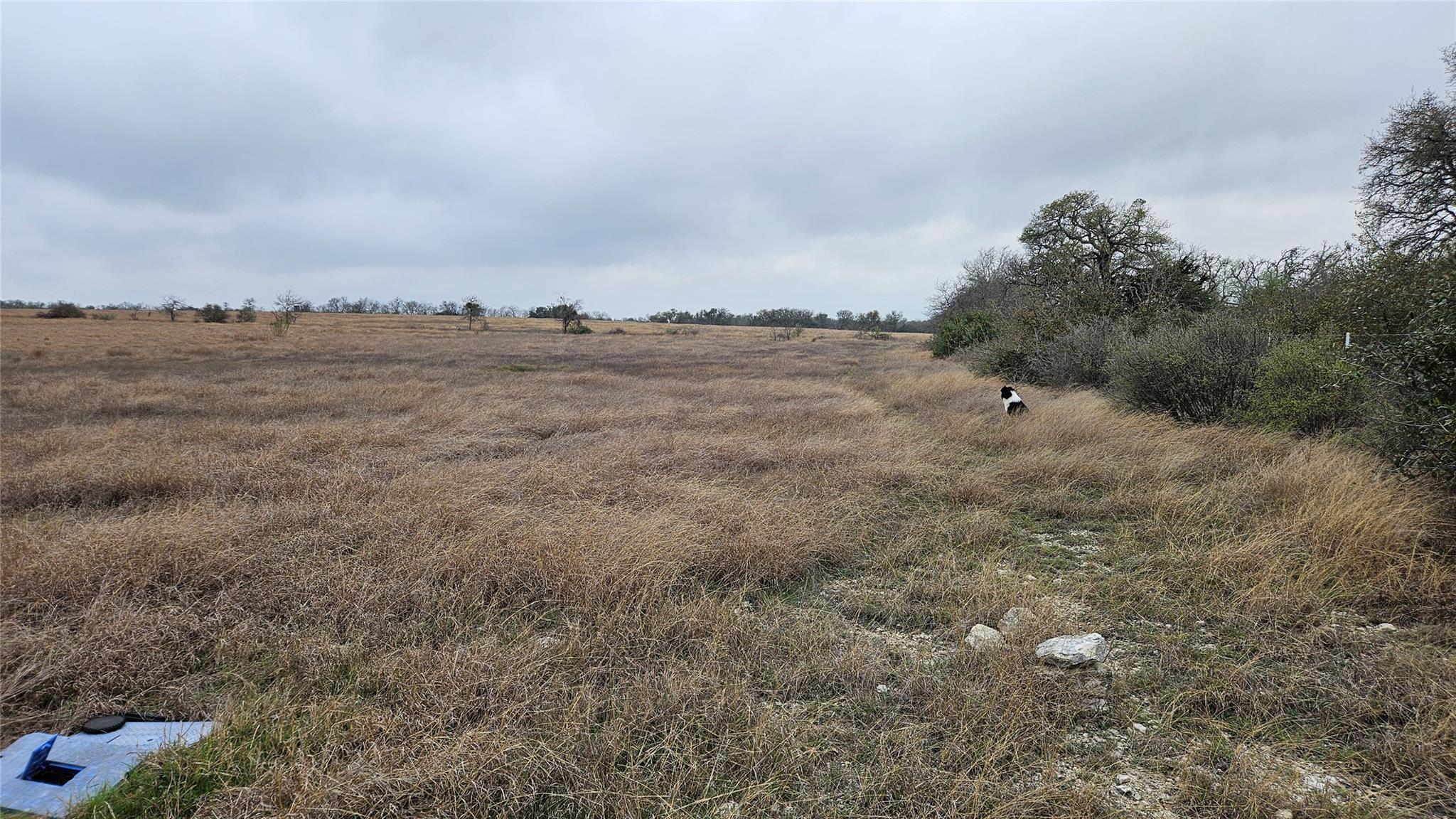 000 C.R,316, Walburg, TX 78626