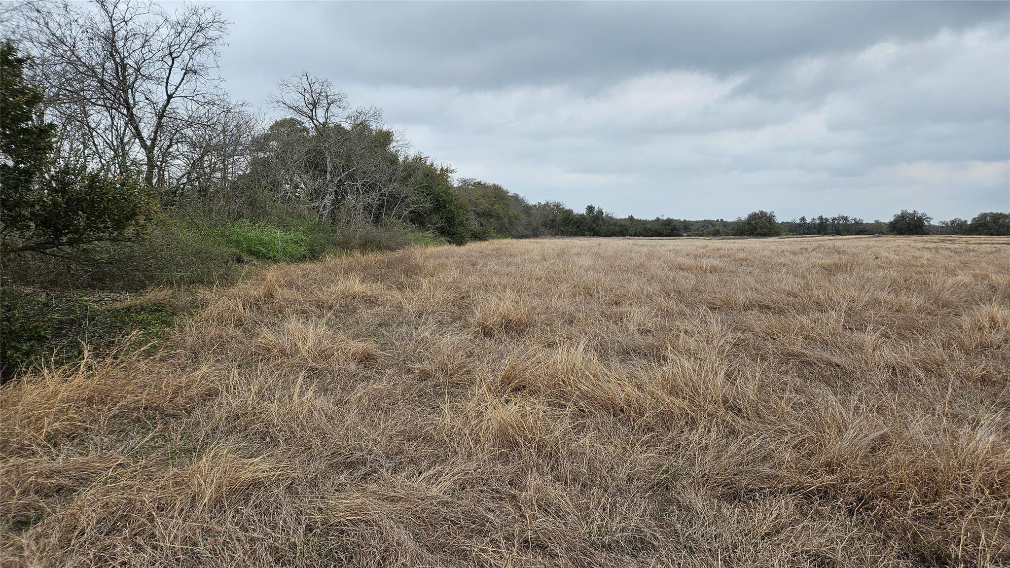 000 C.R,316, Walburg, TX 78626