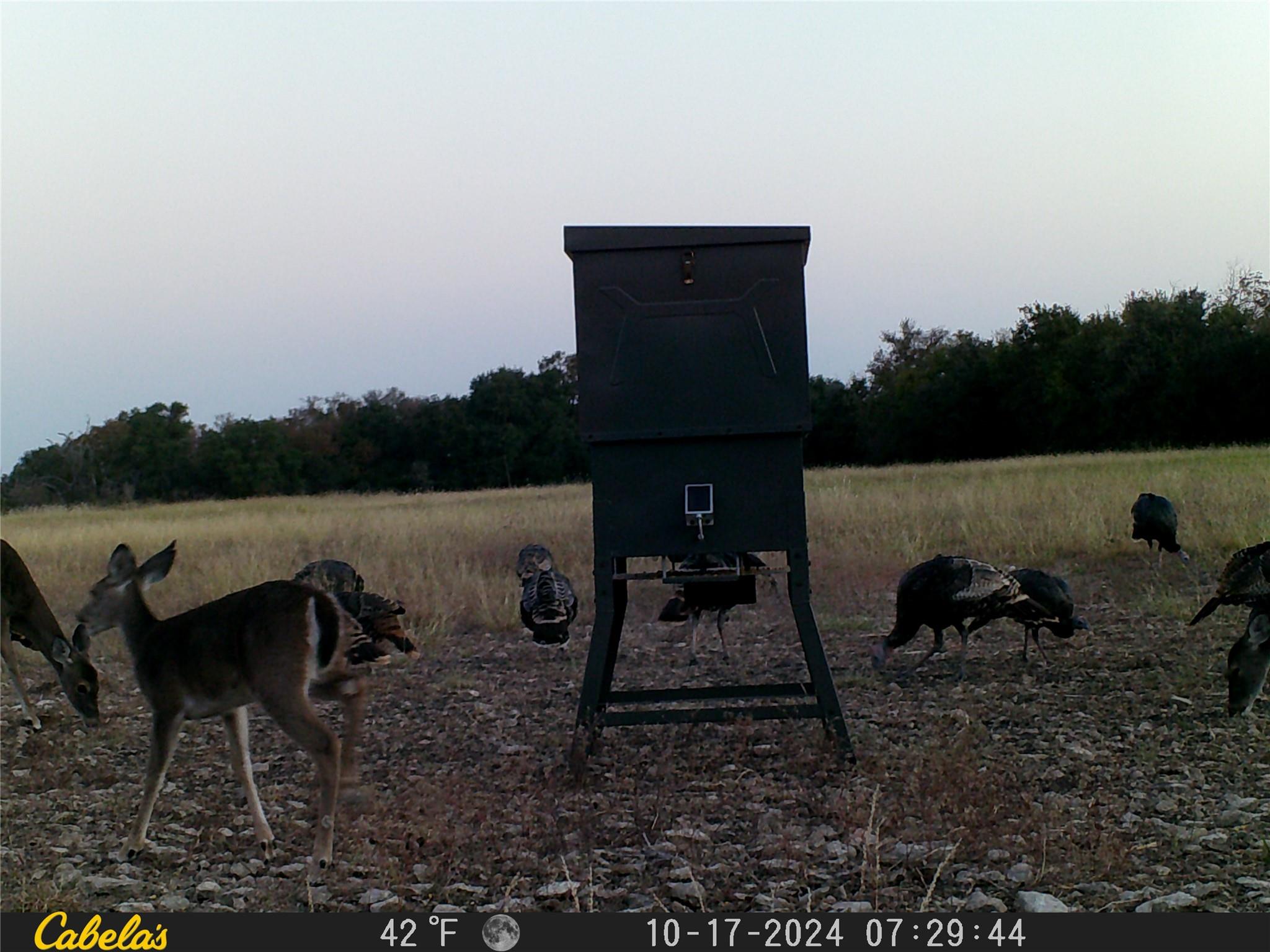 000 C.R,316, Walburg, TX 78626