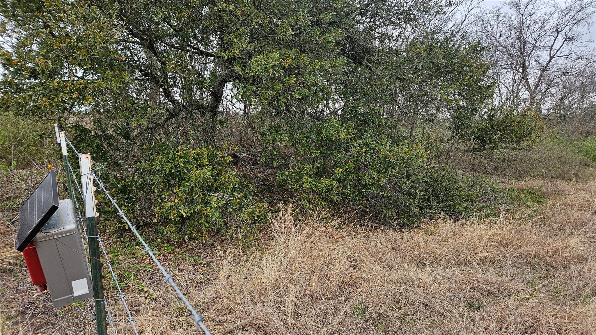 000 C.R,316, Walburg, TX 78626