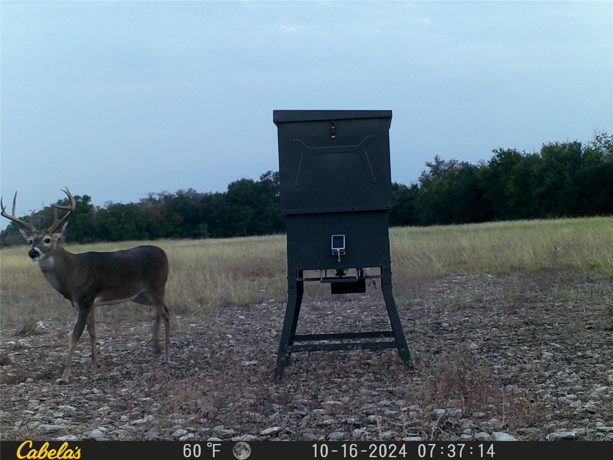 000 C.R,316, Walburg, TX 78626