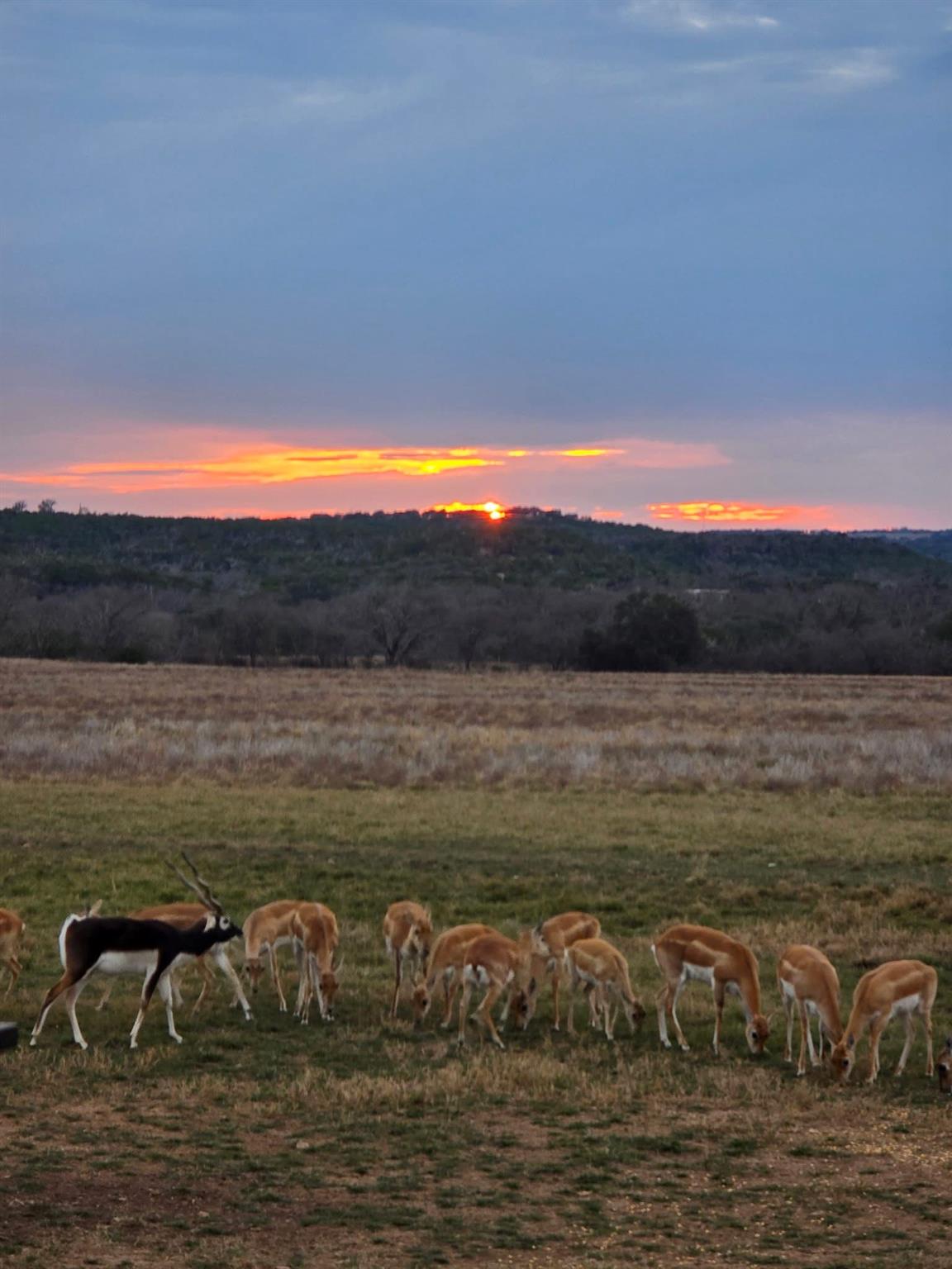 0 River Shoals Dr, Kempner, TX 76539