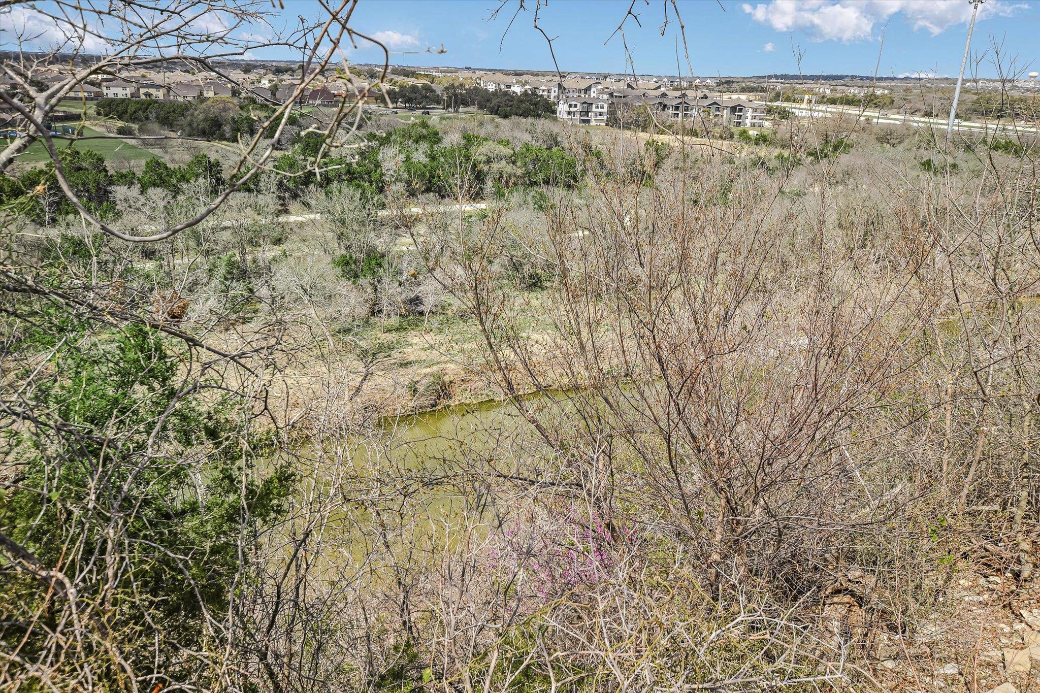 131 High Gabriel Dr, Leander, TX 78641