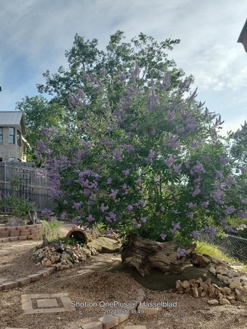 131 High Gabriel Dr, Leander, TX 78641