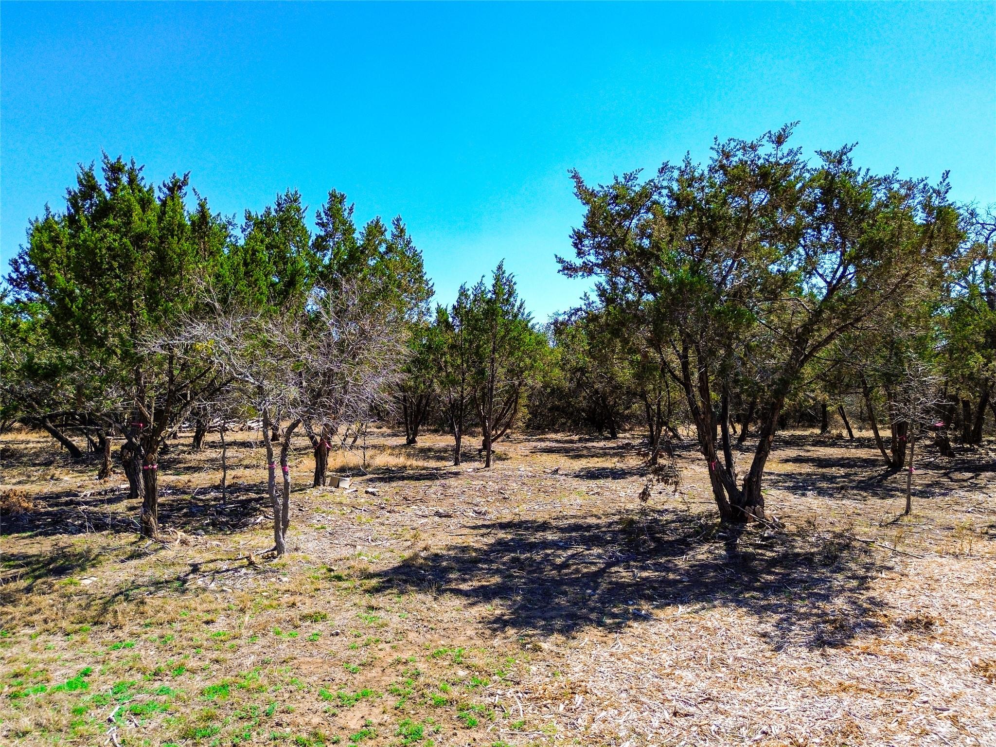 120 Blessing Ranch Rd, Liberty Hill, TX 78642