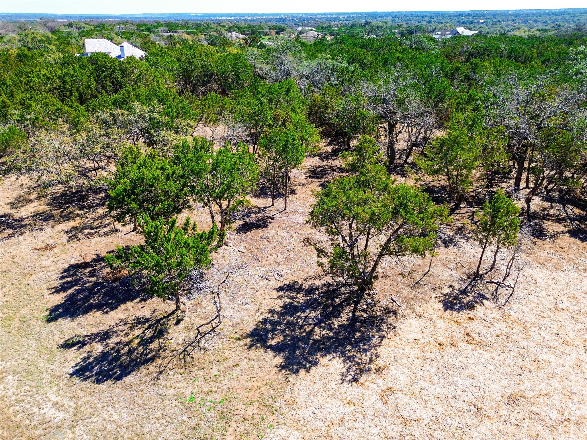 120 Blessing Ranch Rd, Liberty Hill, TX 78642