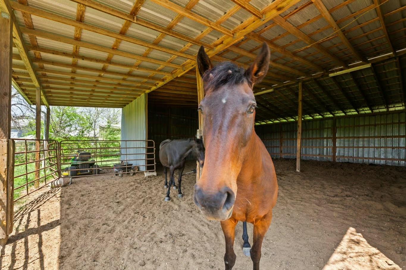 13484 Avis Rd, Dale, TX 78616