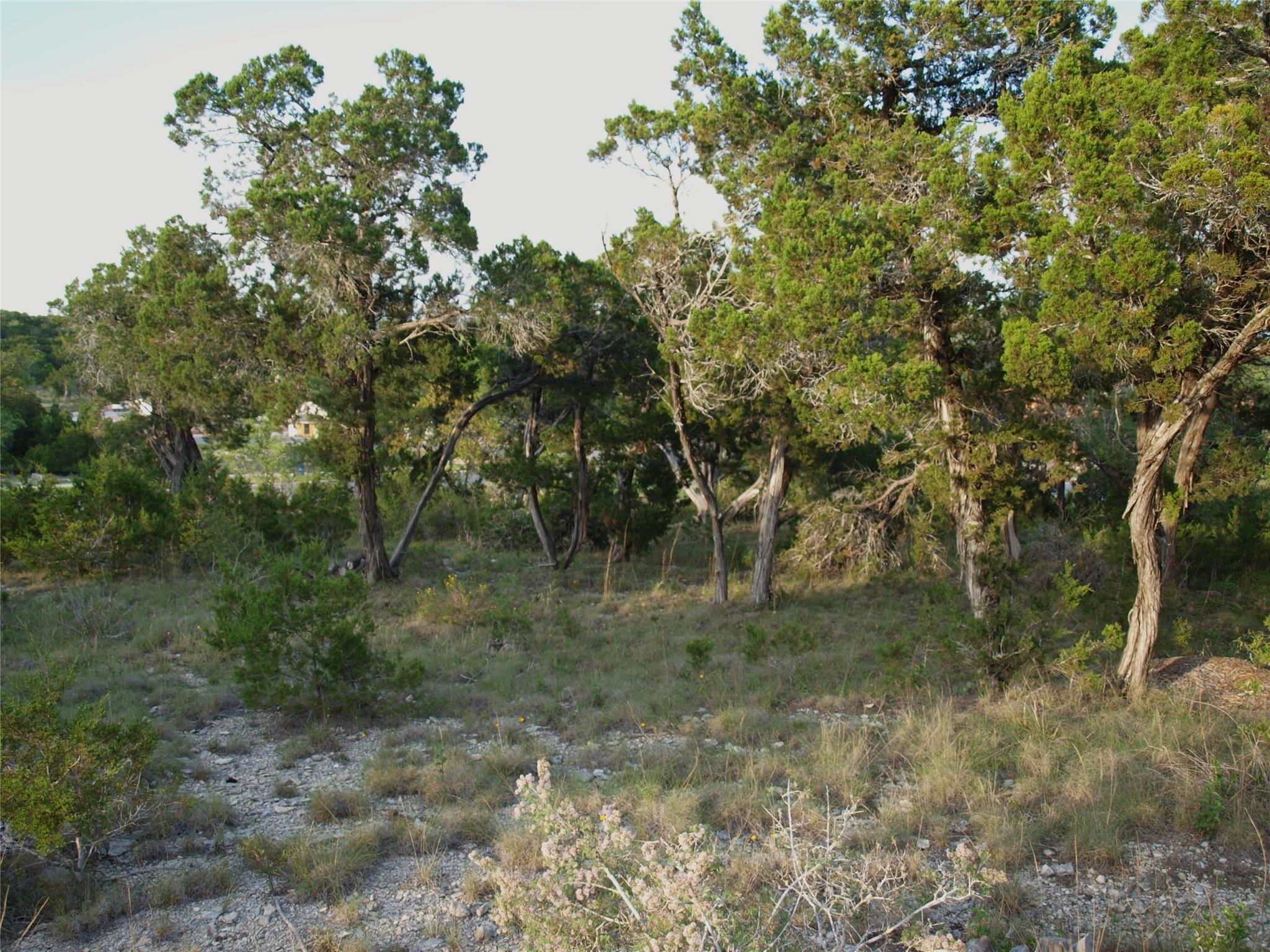 Lot 8 B Broadwing Cv, Austin, TX 78737