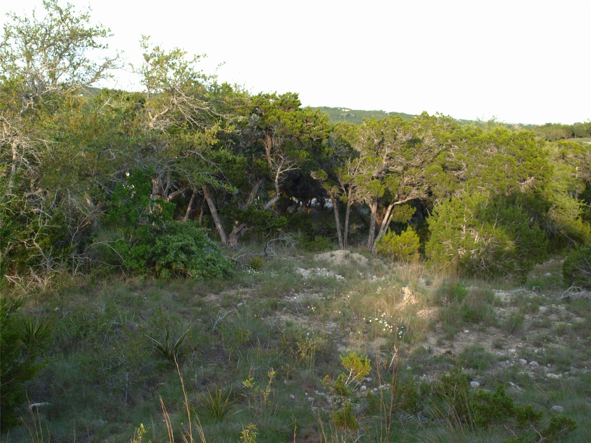 Lot 8 B Broadwing Cv, Austin, TX 78737