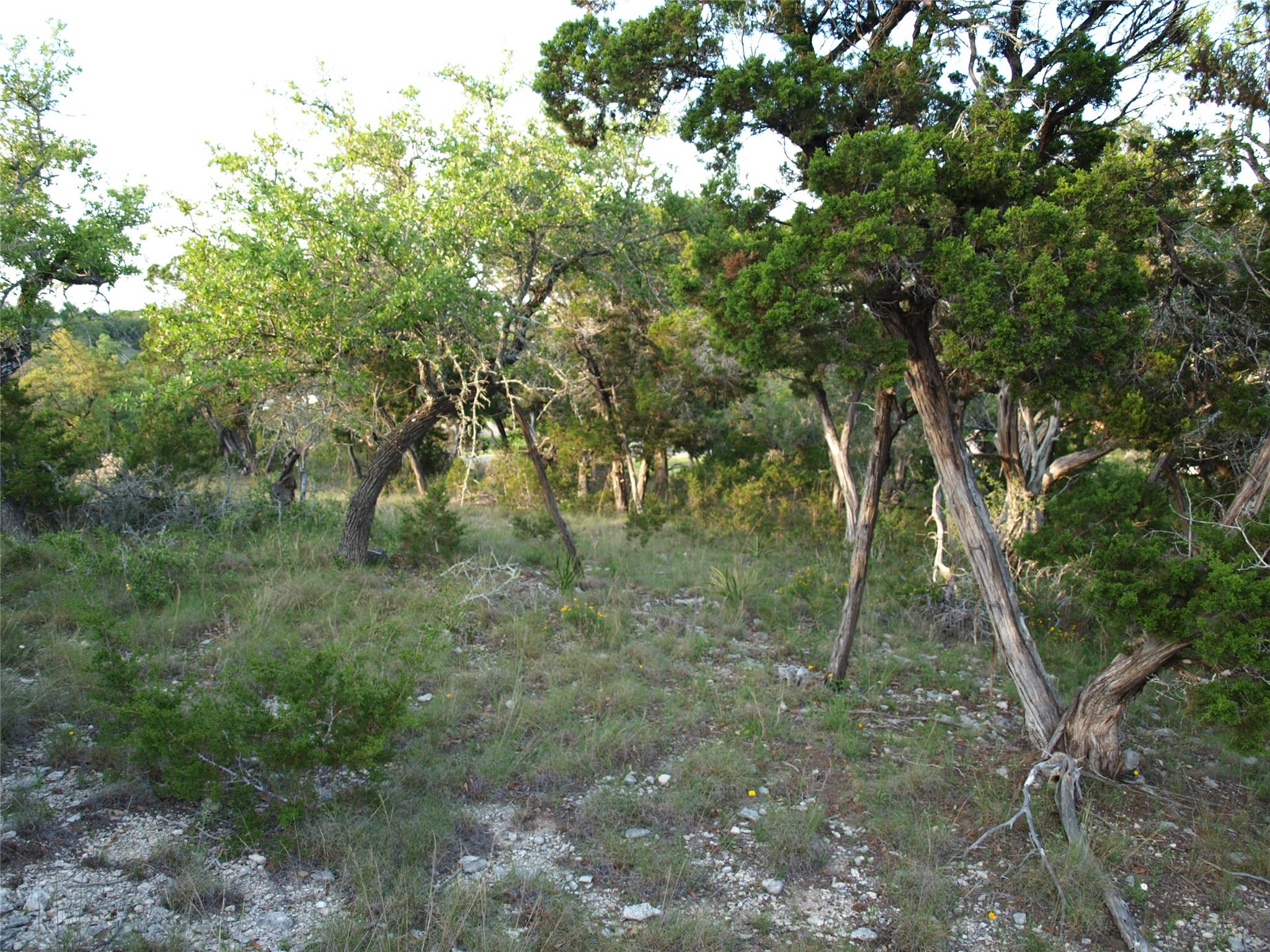 Lot 8 B Broadwing Cv, Austin, TX 78737