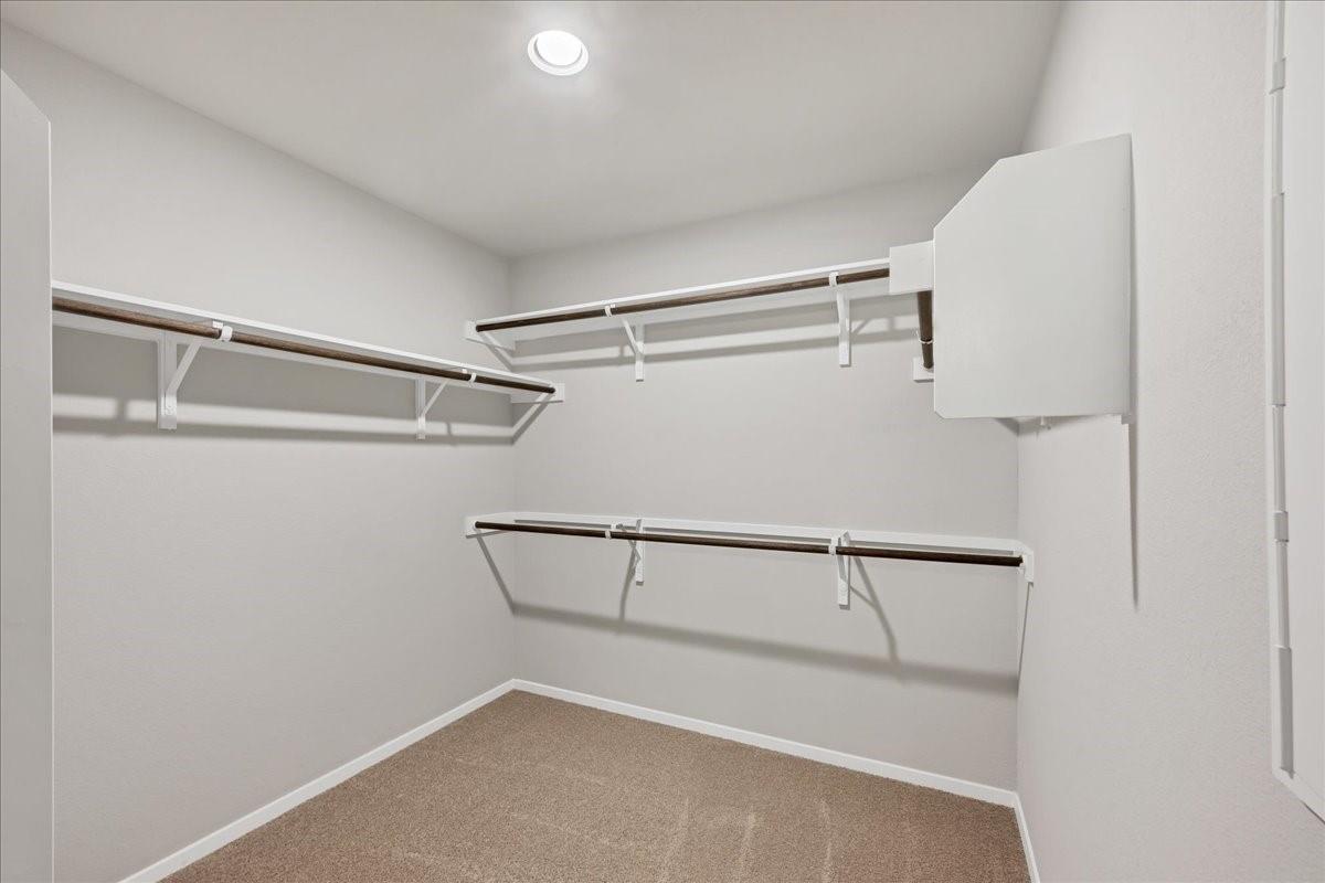 116 Honeybee Ln, Elgin, TX 78621