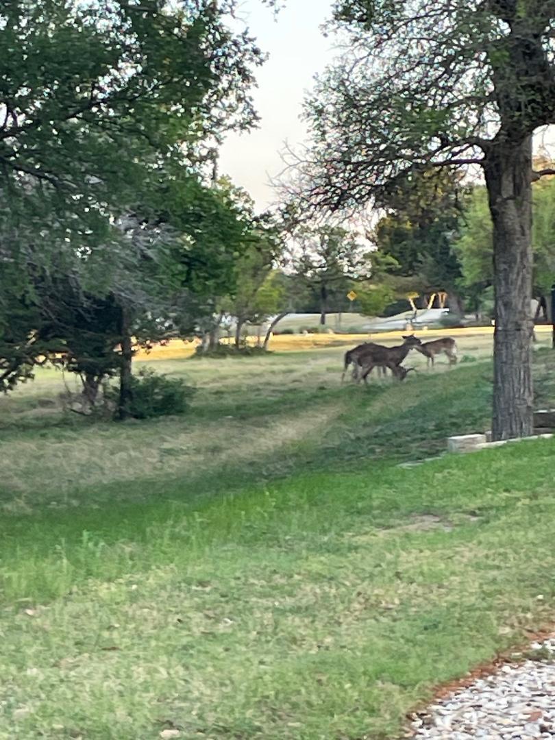 319 Essex Ln, Georgetown, TX 78633