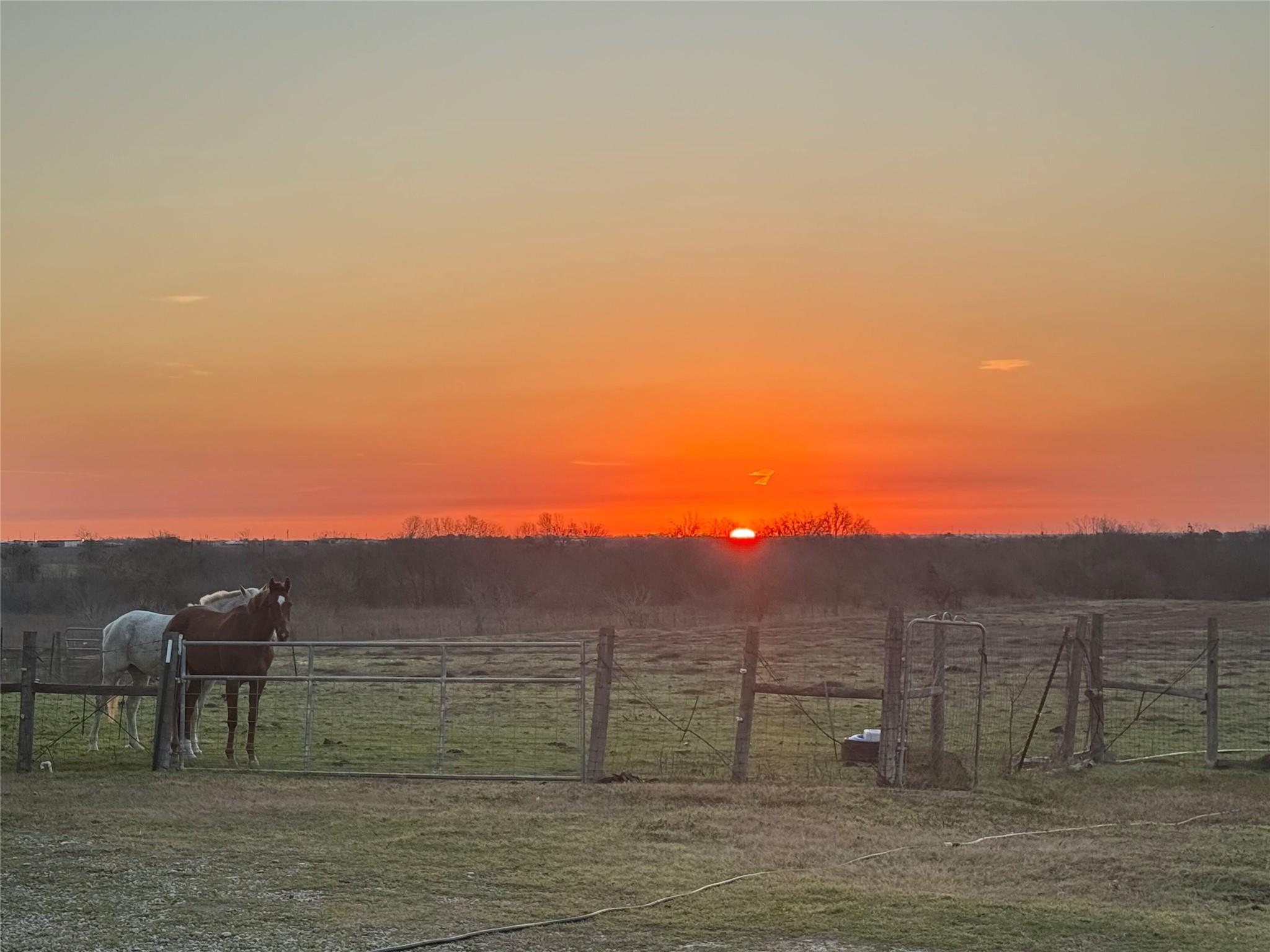 16117 Bobby Rd, Manor, TX 78653