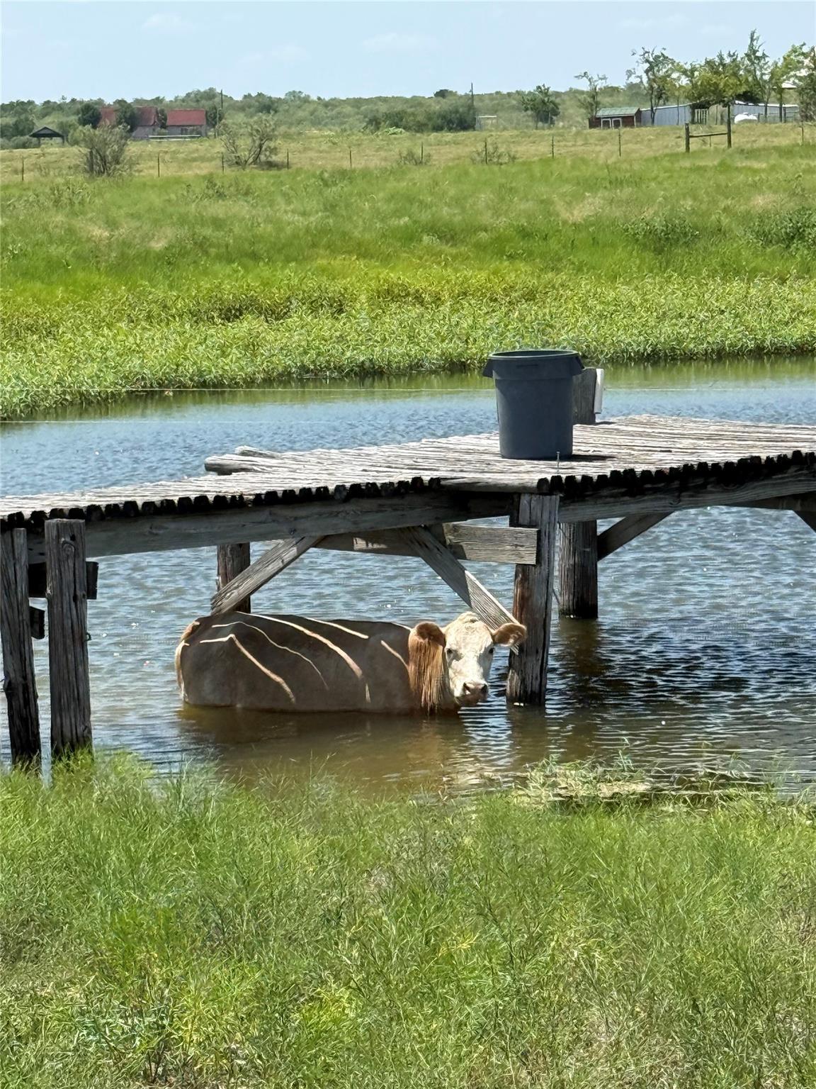 16117 Bobby Rd, Manor, TX 78653