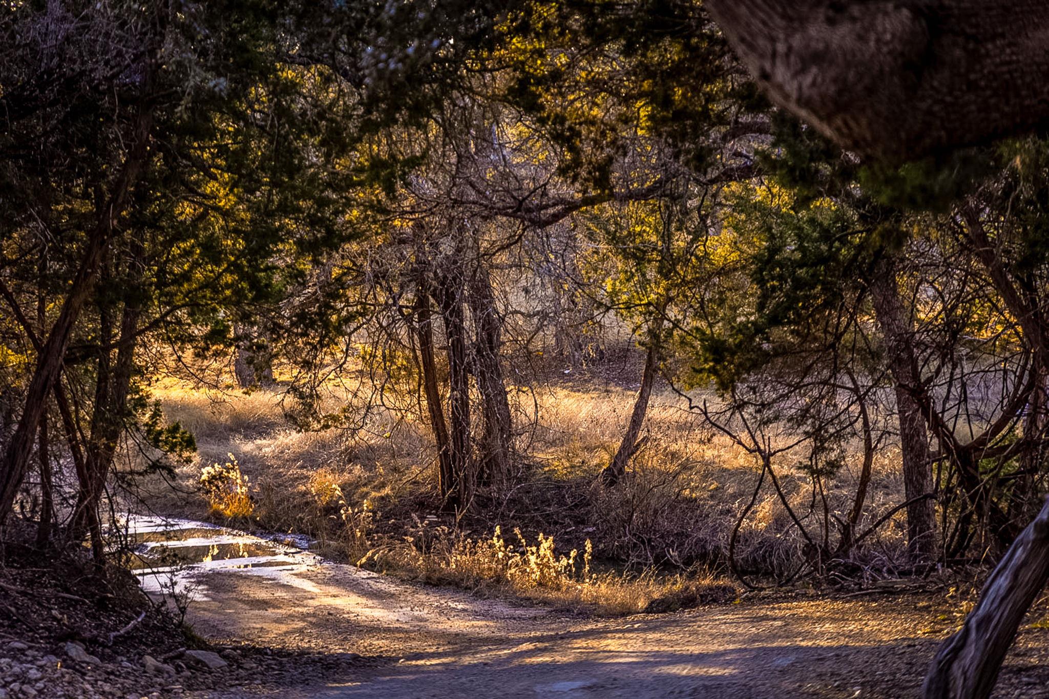 TBD Steitle Rd, Fredericksburg, TX 78624