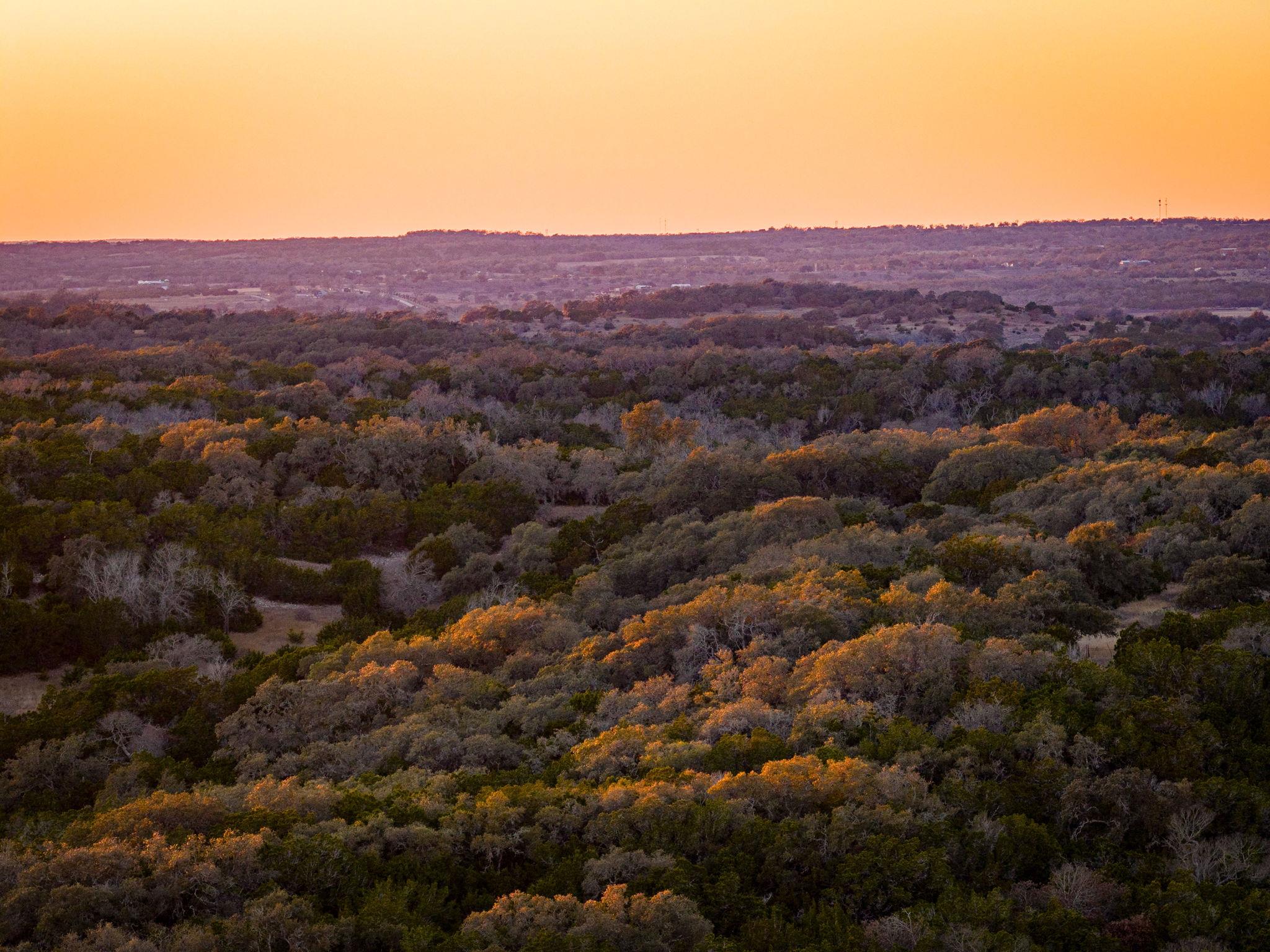 TBD Steitle Rd, Fredericksburg, TX 78624