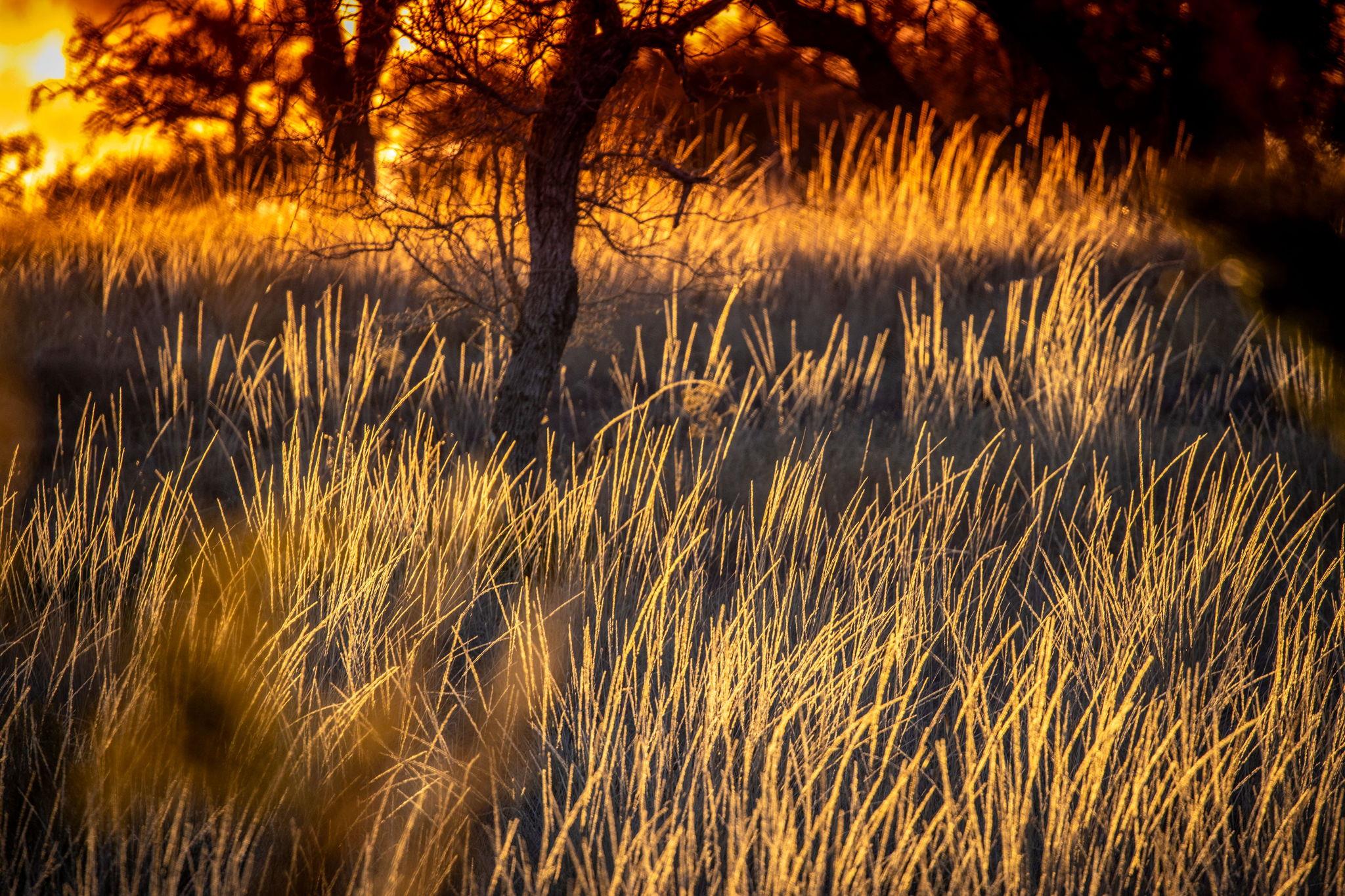 TBD Steitle Rd, Fredericksburg, TX 78624