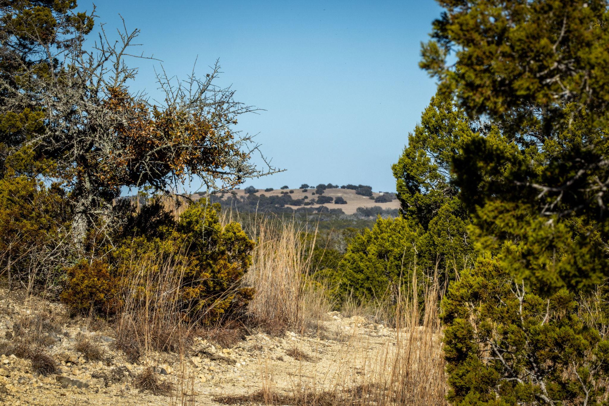 TBD Steitle Rd, Fredericksburg, TX 78624