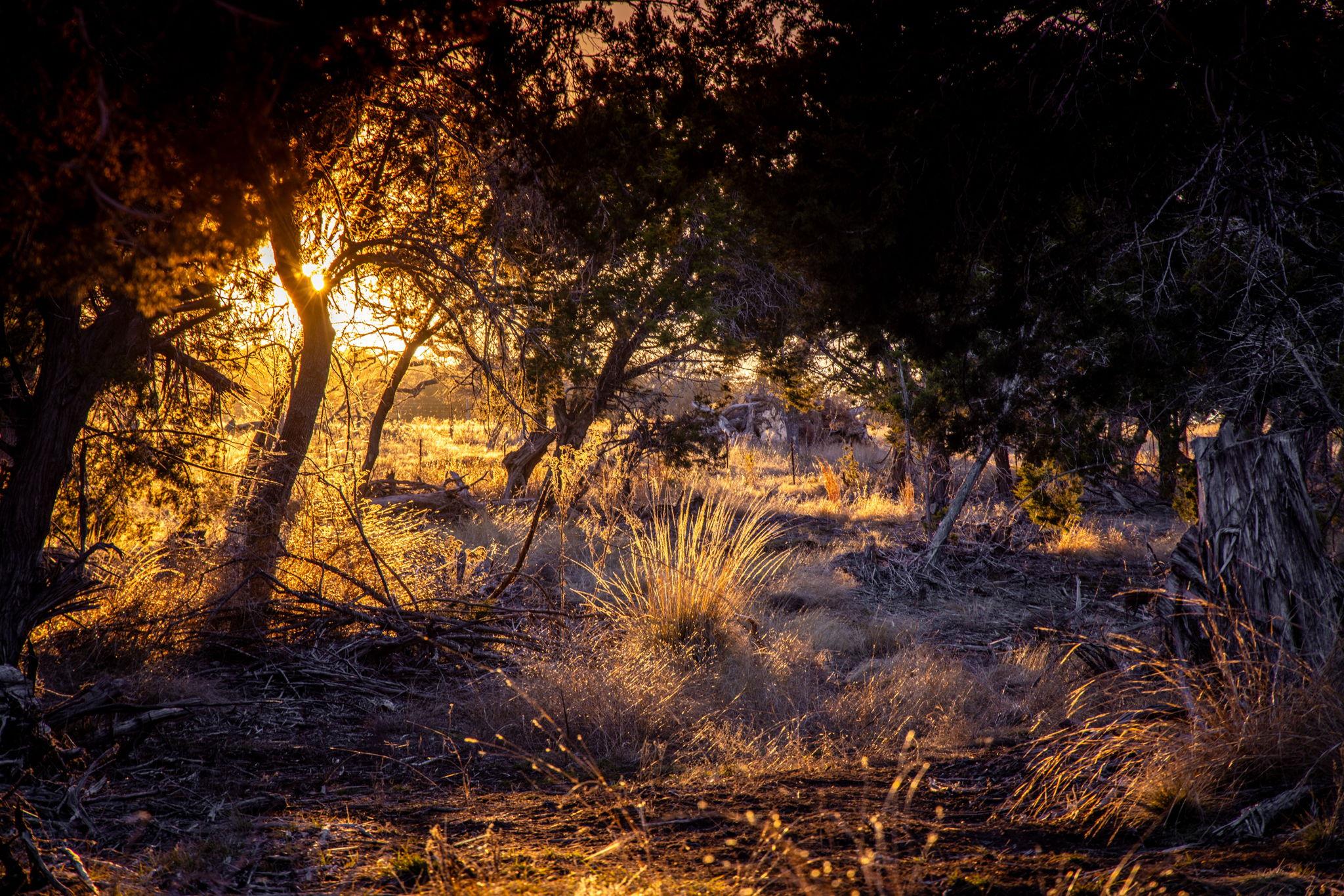 TBD Steitle Rd, Fredericksburg, TX 78624