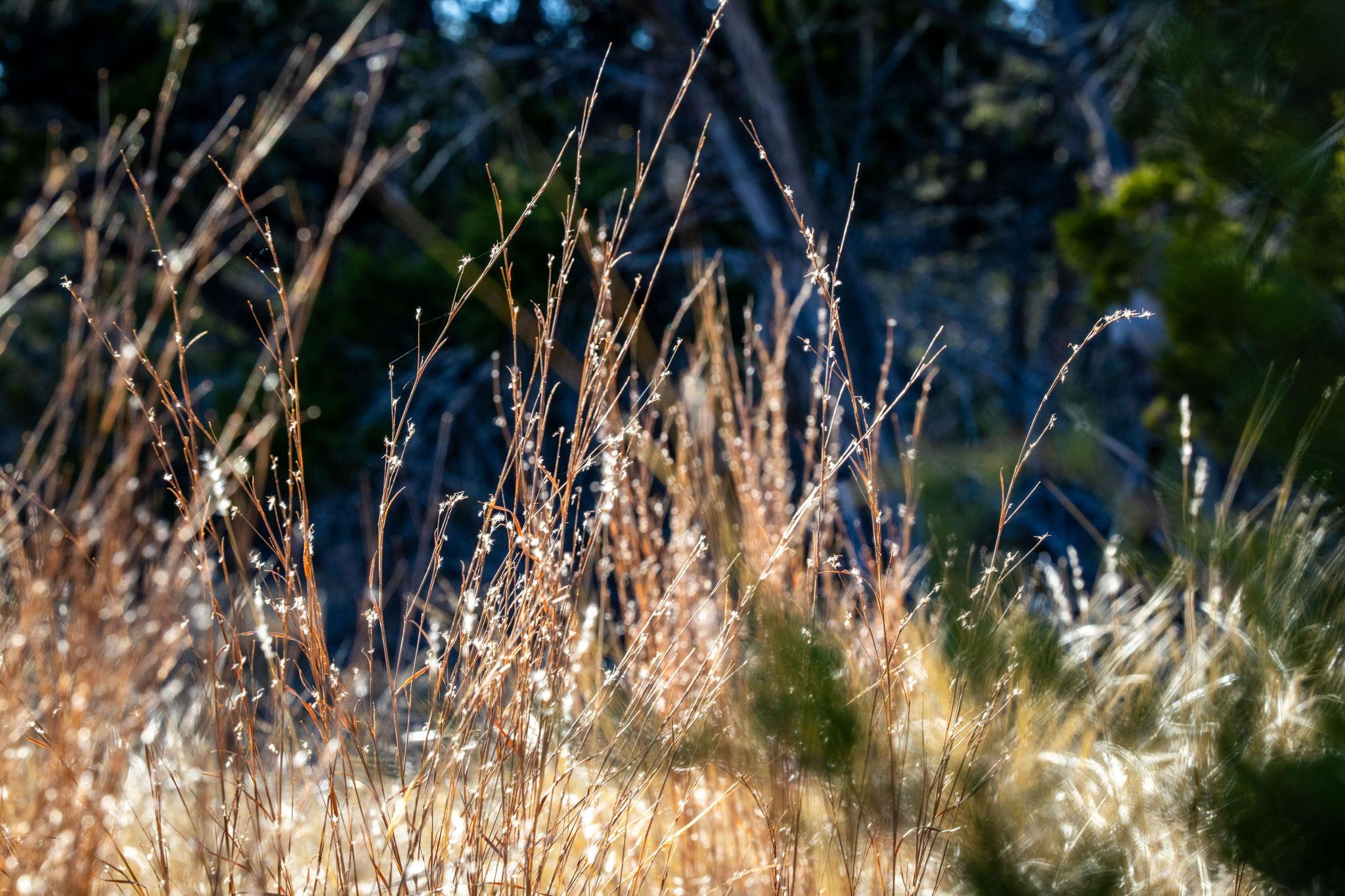 TBD Steitle Rd, Fredericksburg, TX 78624