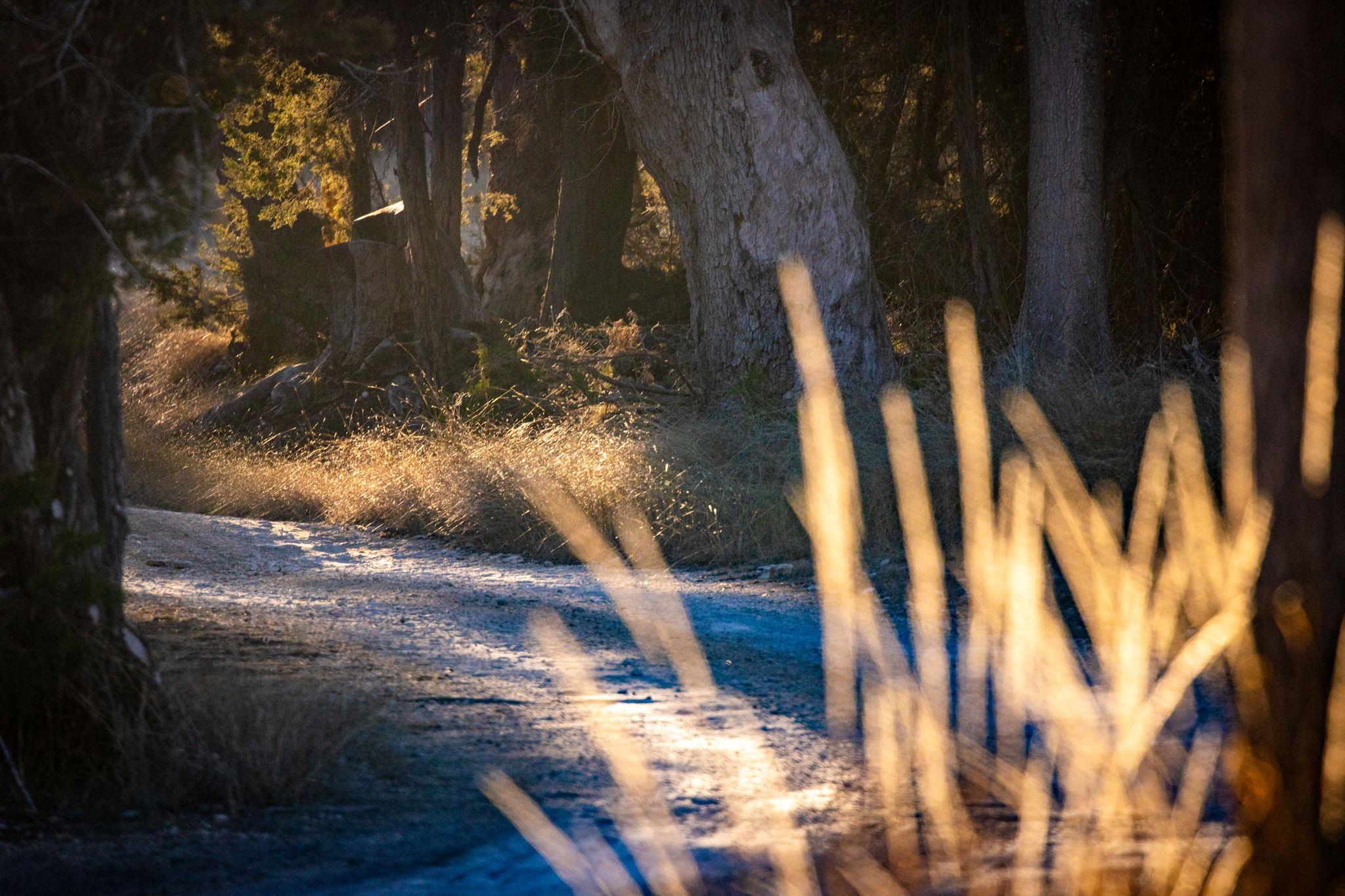 TBD Steitle Rd, Fredericksburg, TX 78624