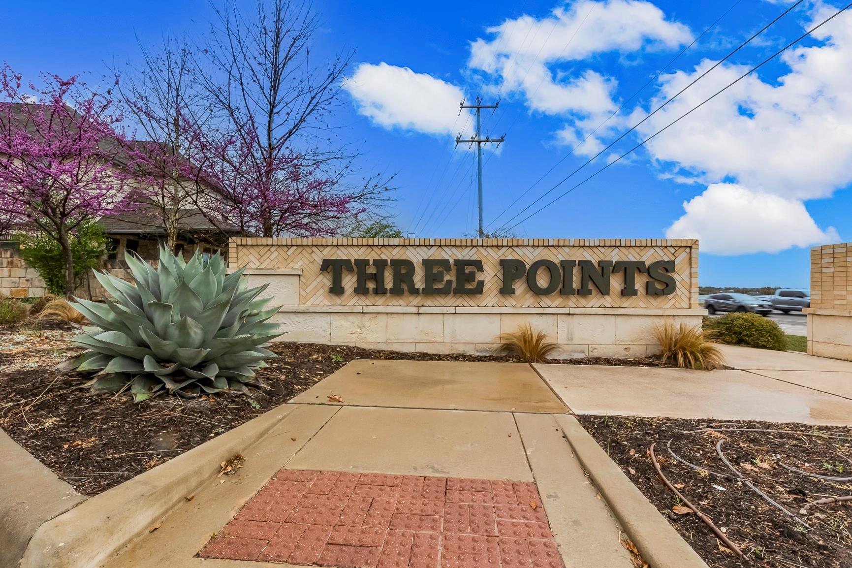 2916 Zelma Dr, Cedar Park, TX 78613