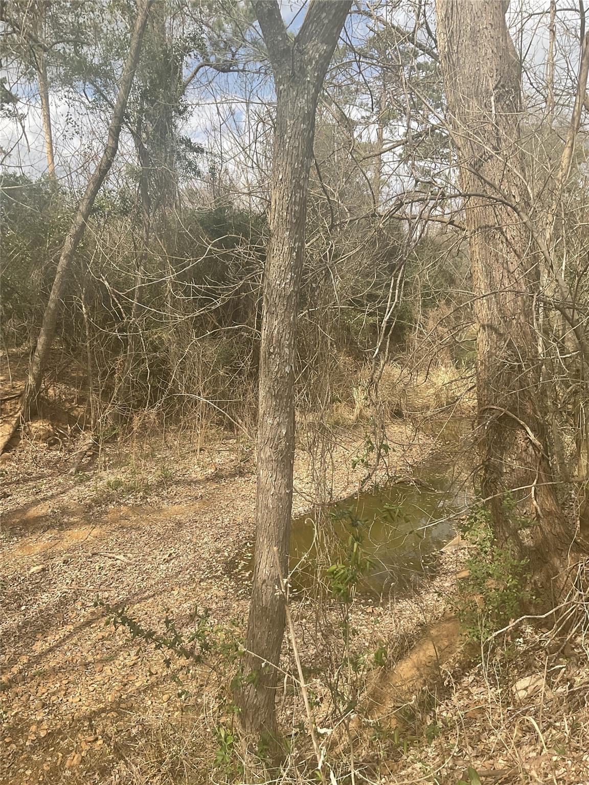 1225 W Highway 71 Highway W, Smithville, TX 78957