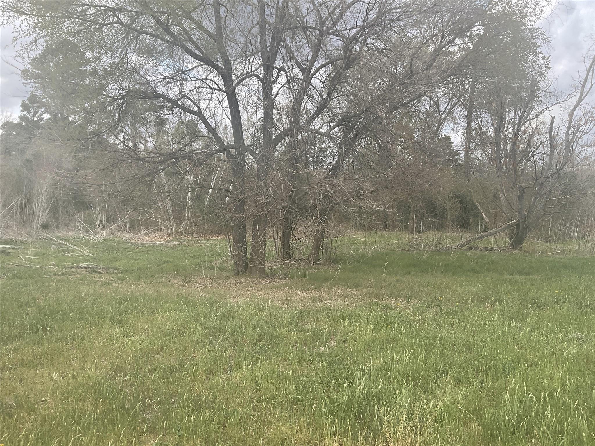 1225 W Highway 71 Highway W, Smithville, TX 78957