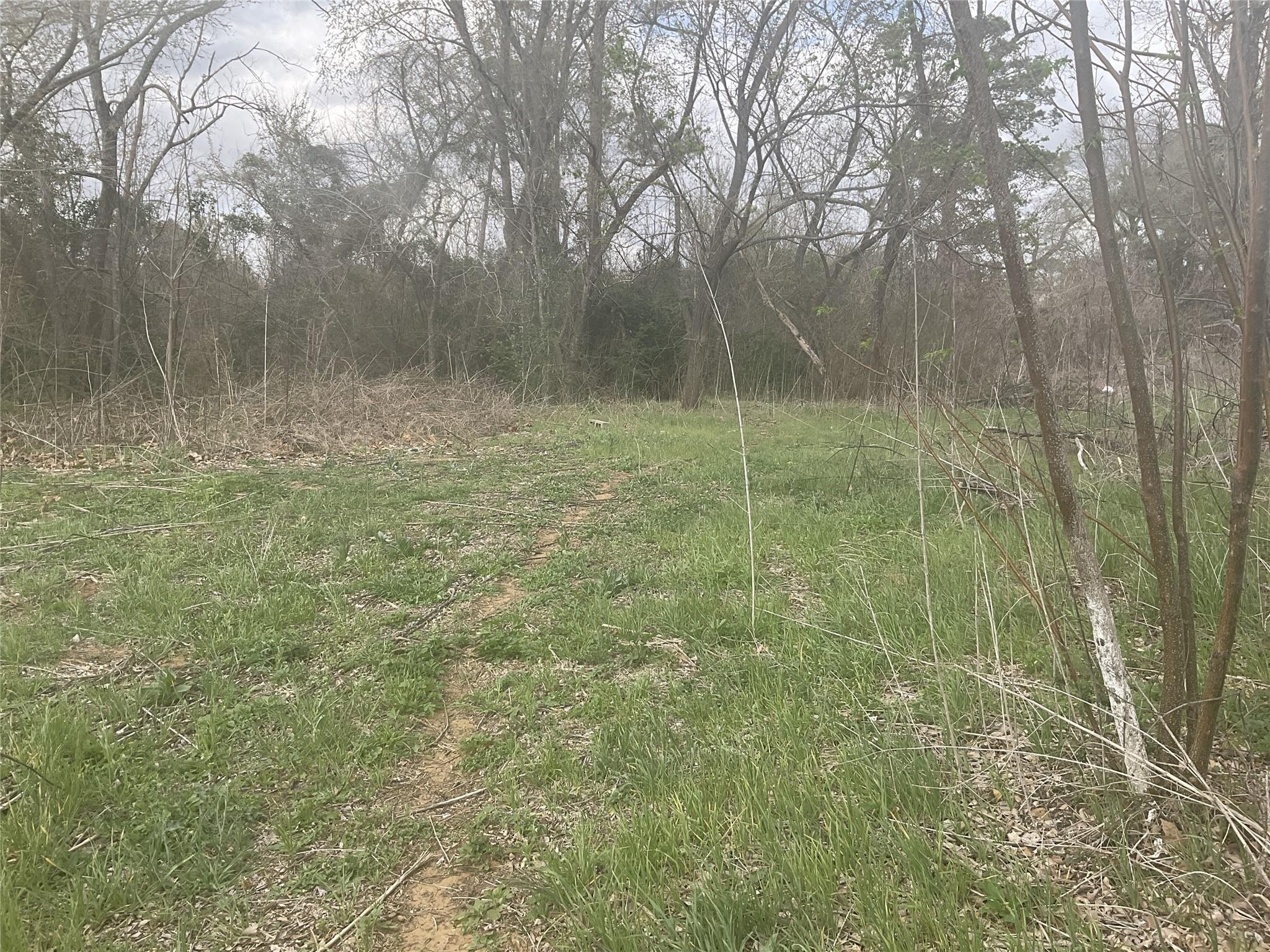 1225 W Highway 71 Highway W, Smithville, TX 78957