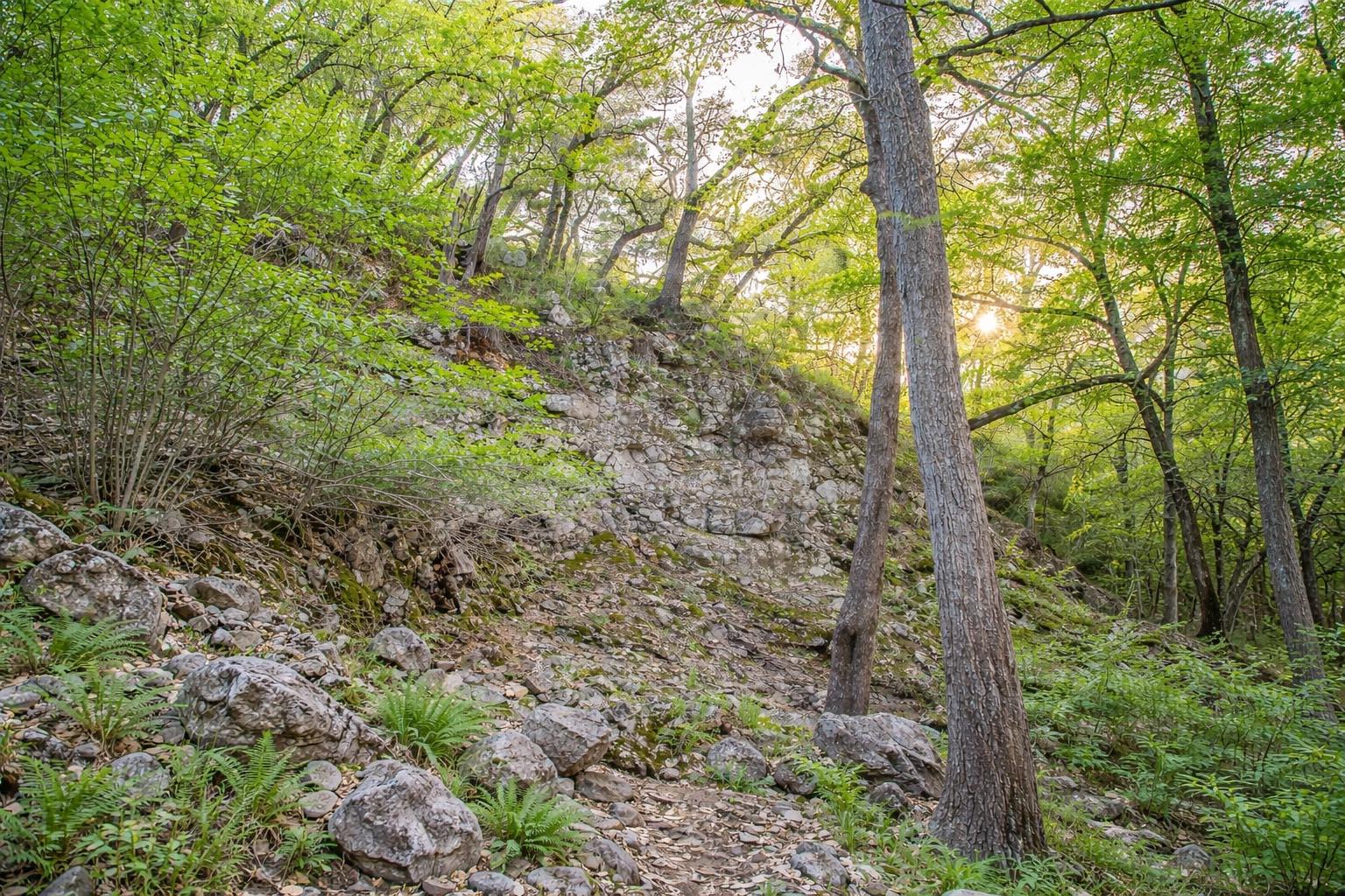 2810 Bridlewood Ranches Dr., San Marcos, TX 78666