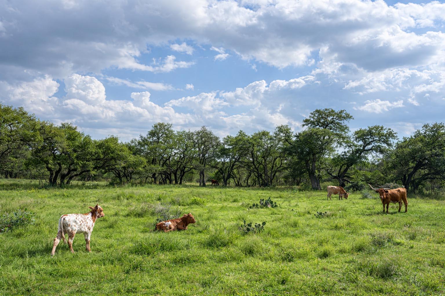 2810 Bridlewood Ranches Dr., San Marcos, TX 78666