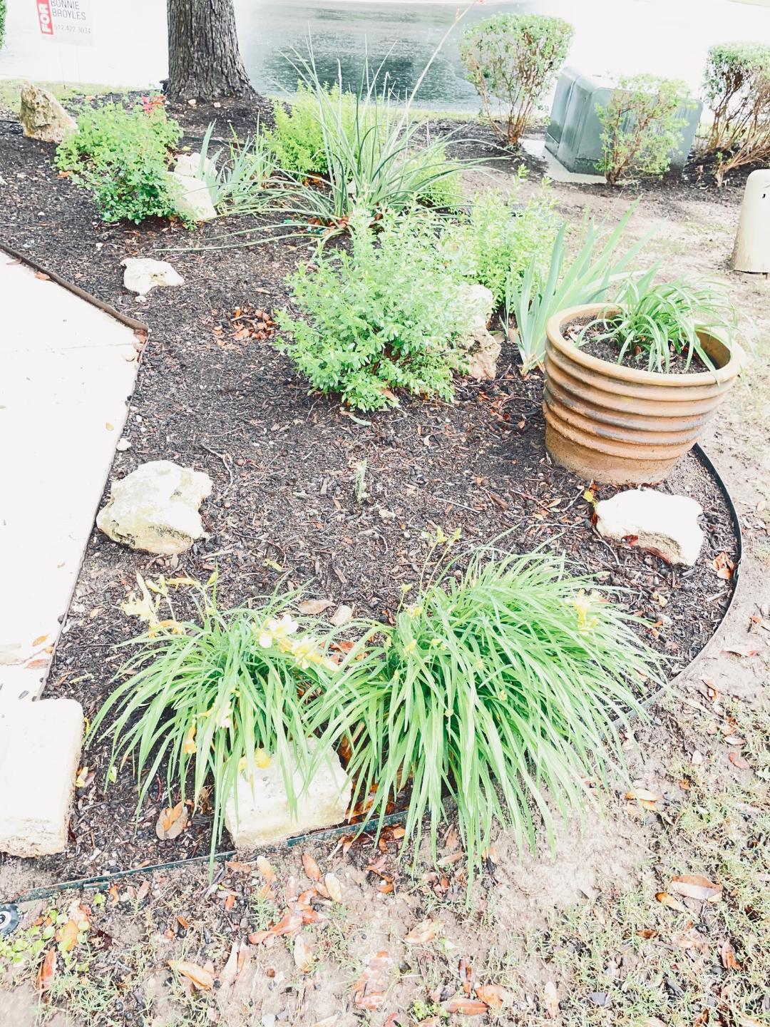 317 Essex Ln, Georgetown, TX 78633